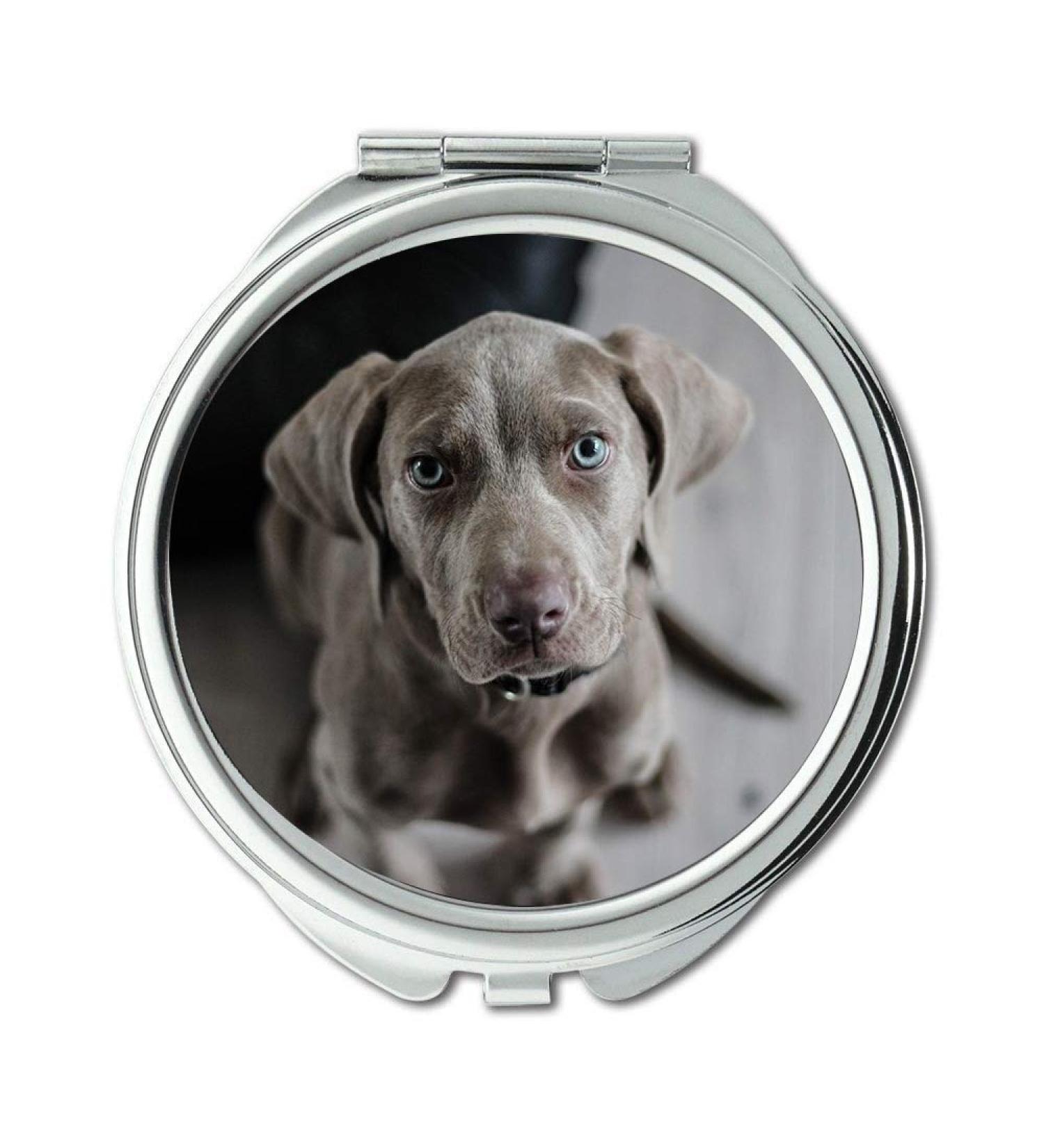 Mirror Travel Mirror Weimaraner Puppy Dog Snout Animal Portrait Pocket Mirror portable mirror - Buy Online on GoSupps.com