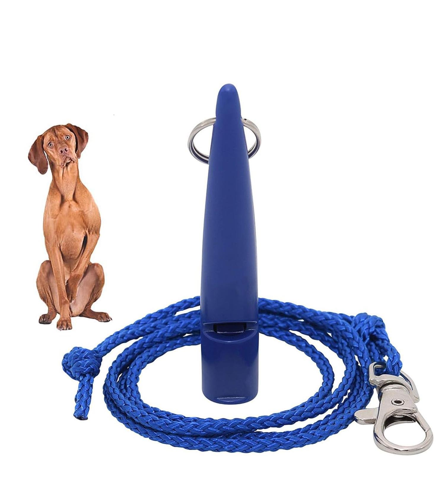 dog whistle no. 210.5 with whistle strap | Ideal for dog training | Food-Grade ABS Material | Standardized frequency | Loud and far-reaching - Buy Online on GoSupps.com