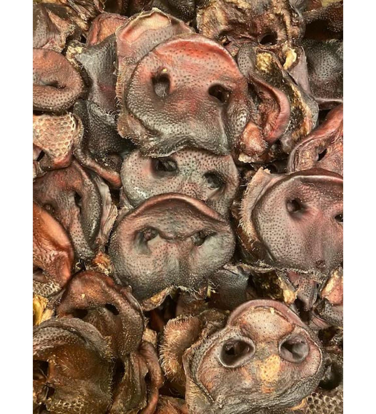 PAWS PARADISE 1kg x QUALITY BRITISH GRADE A PIGS SNOUTS - Buy Online on GoSupps.com