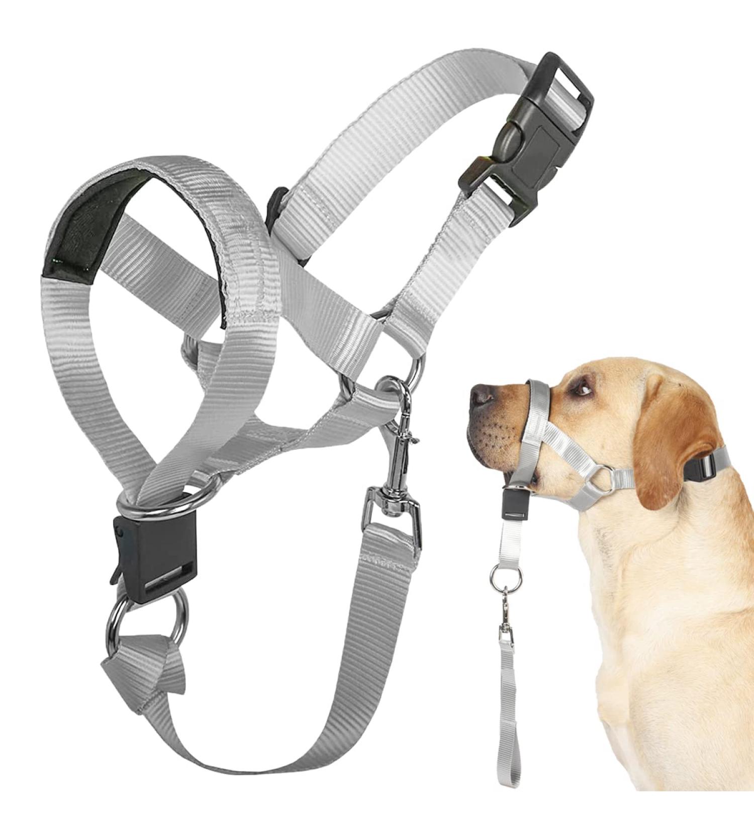 Shop No Pull Dog Halter - Medium Gray Dog Training Tool with Instructions for Comfortable Walks - Buy Online on GoSupps.com