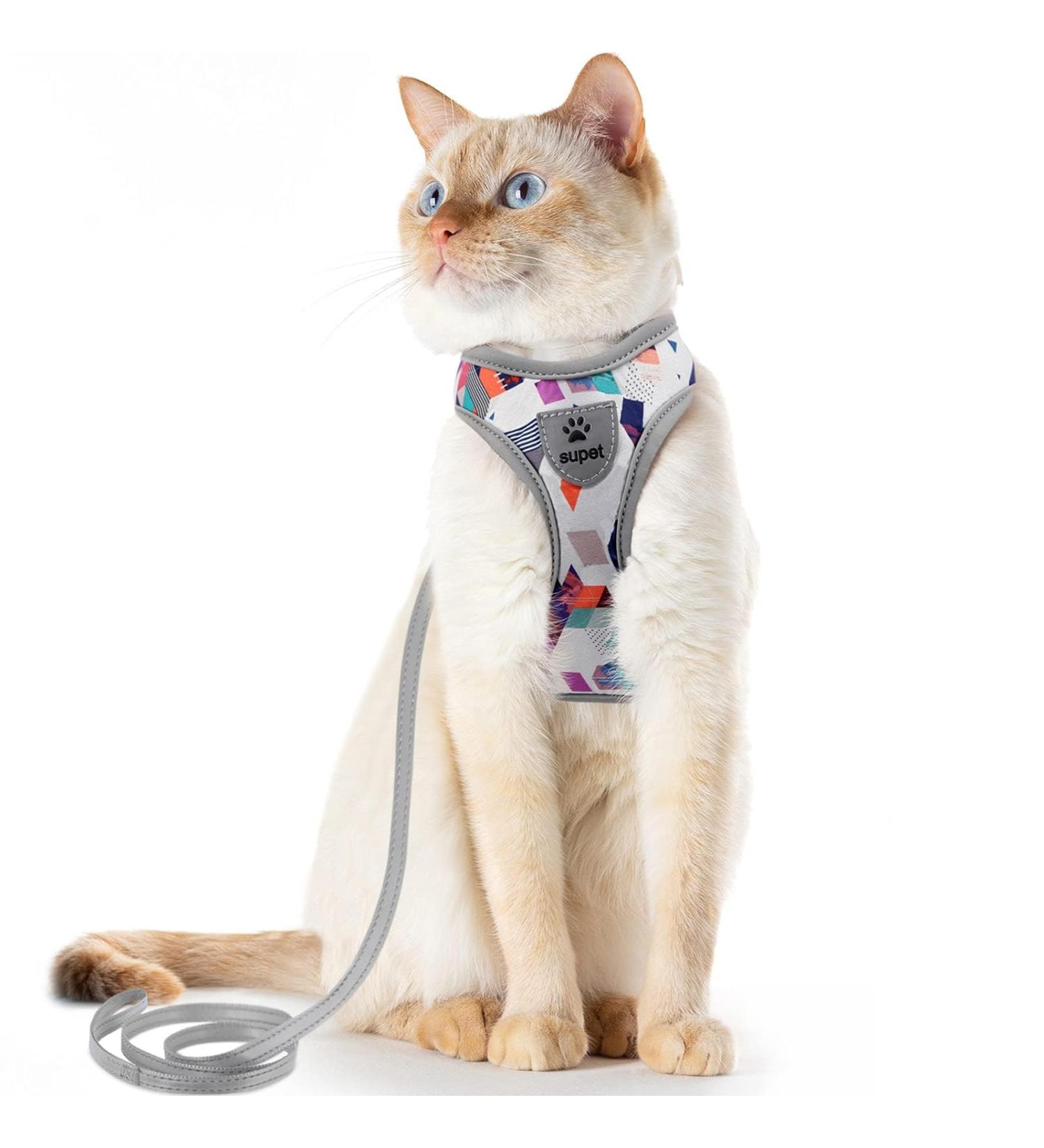 Supet Cat Dishes & Line Set - Stylish Crockery for Feline Friends | International Shipping Available - Buy Online on GoSupps.com