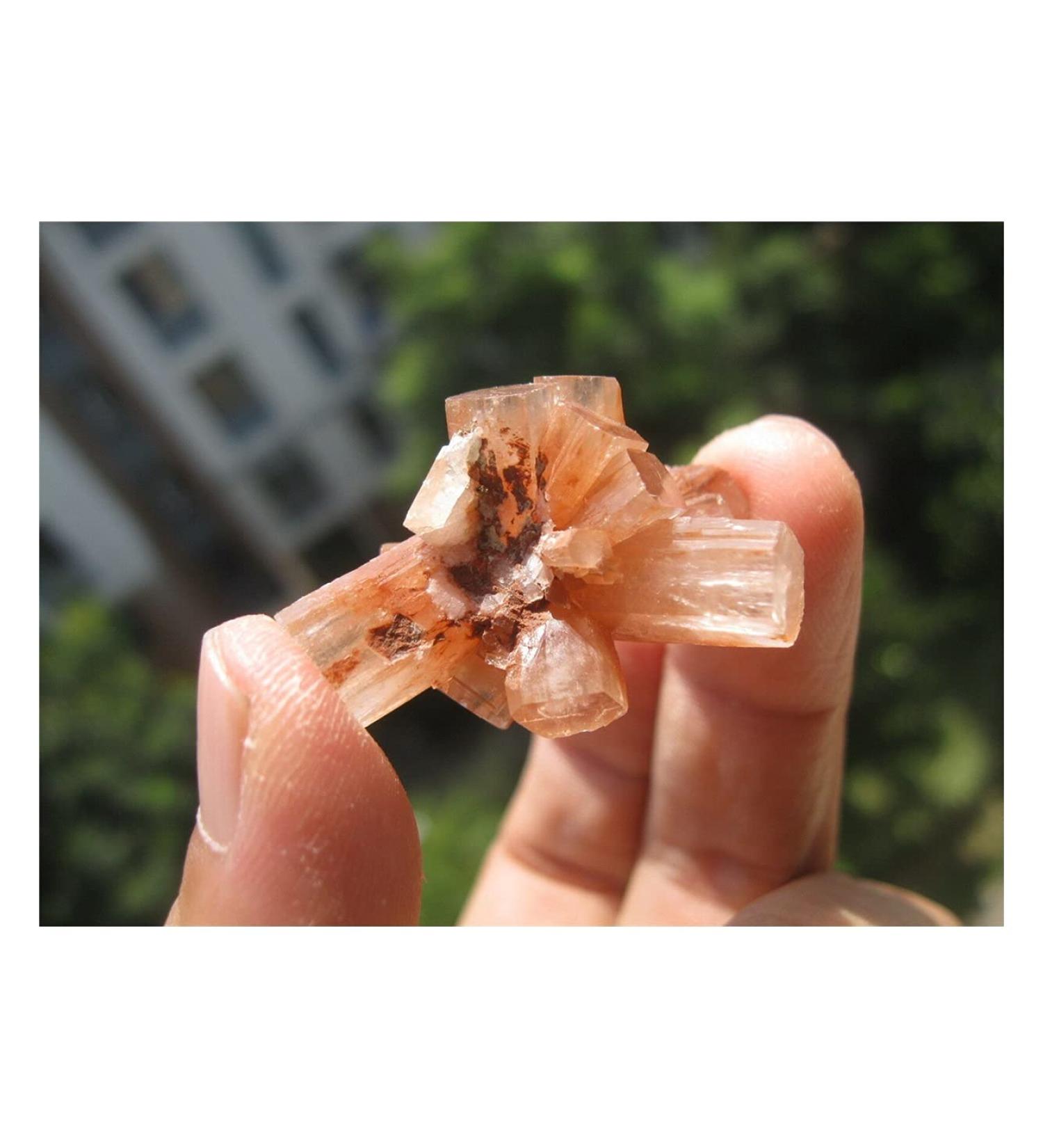 Natural Rare Aragonite Quartz Crystal Cluster Shape Rough Stone Nepheline Home Decor Gifts Beautiful Natural Luster (Size : 10pcs) - Buy Online on GoSupps.com