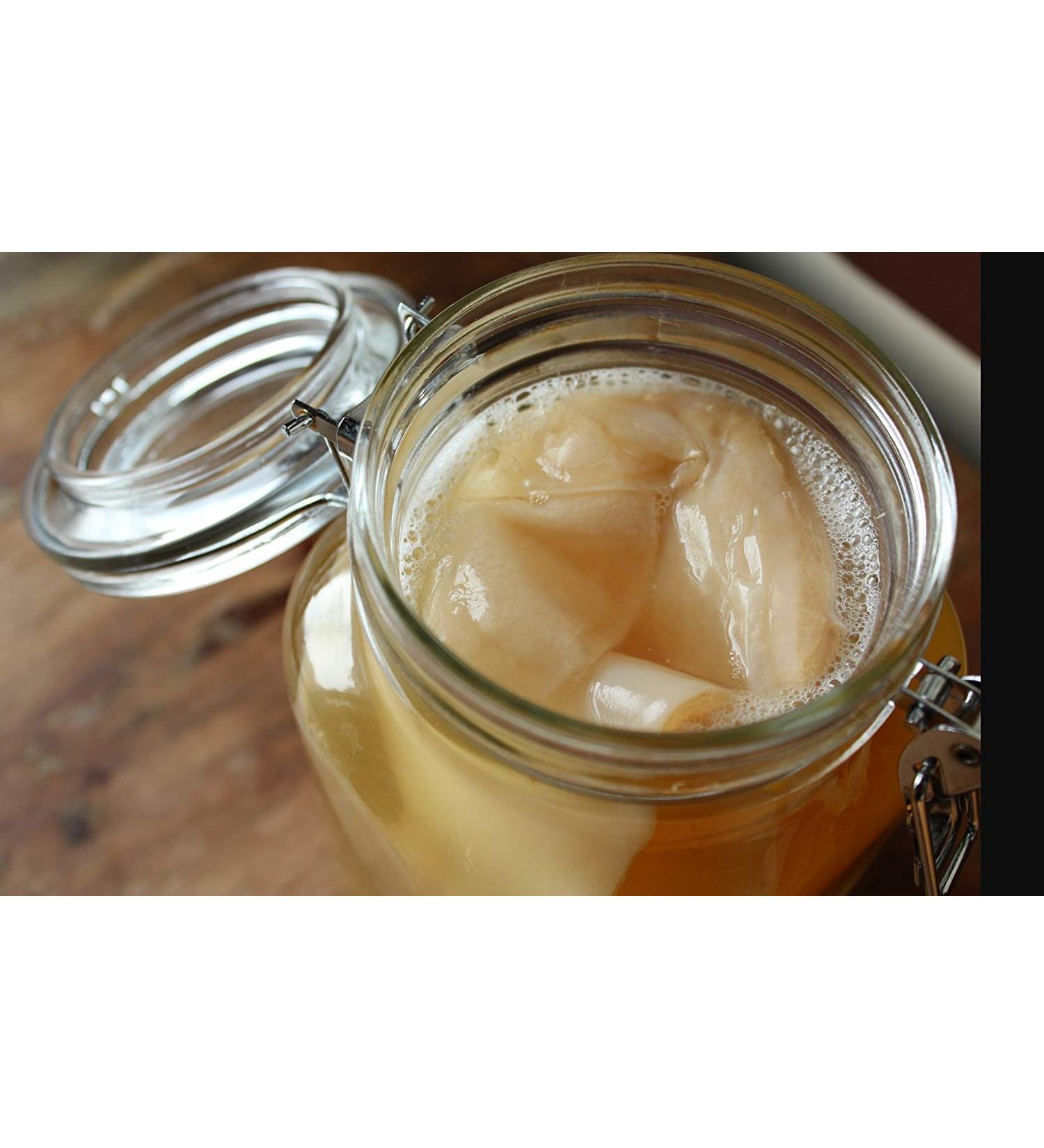 Buy Organic Kombucha SCOBY - Live Culture Limited Edition | Best for Home Brewing - Buy Online on GoSupps.com