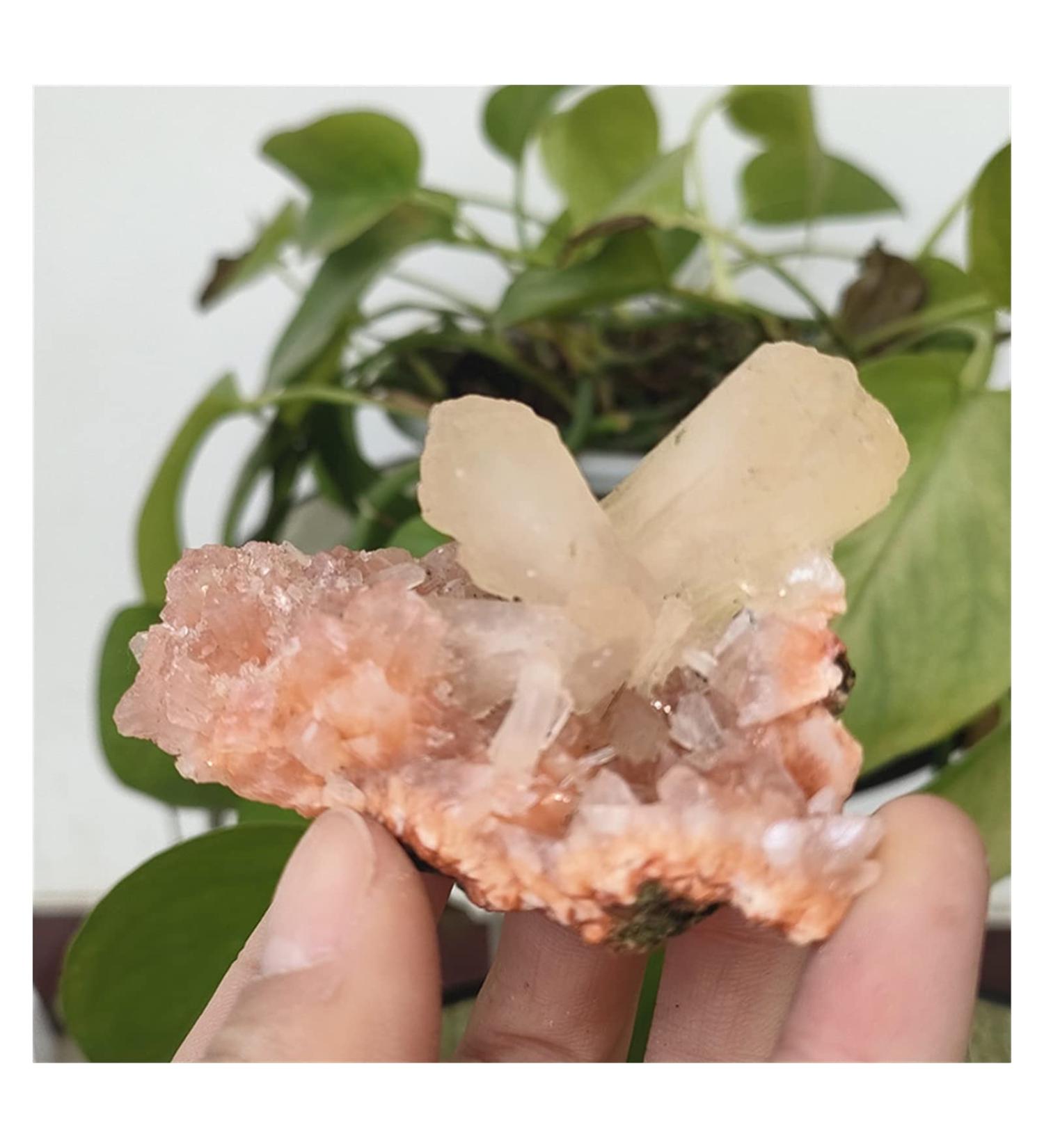 Natural Crystal Rough Rare Natural Raw India Zeolite Cluster Irregular Rough Stone Crystal Rock Ornaments Specimen Reiki Decor PEIQIYIN (Size : 45-50g) - Buy Online on GoSupps.com
