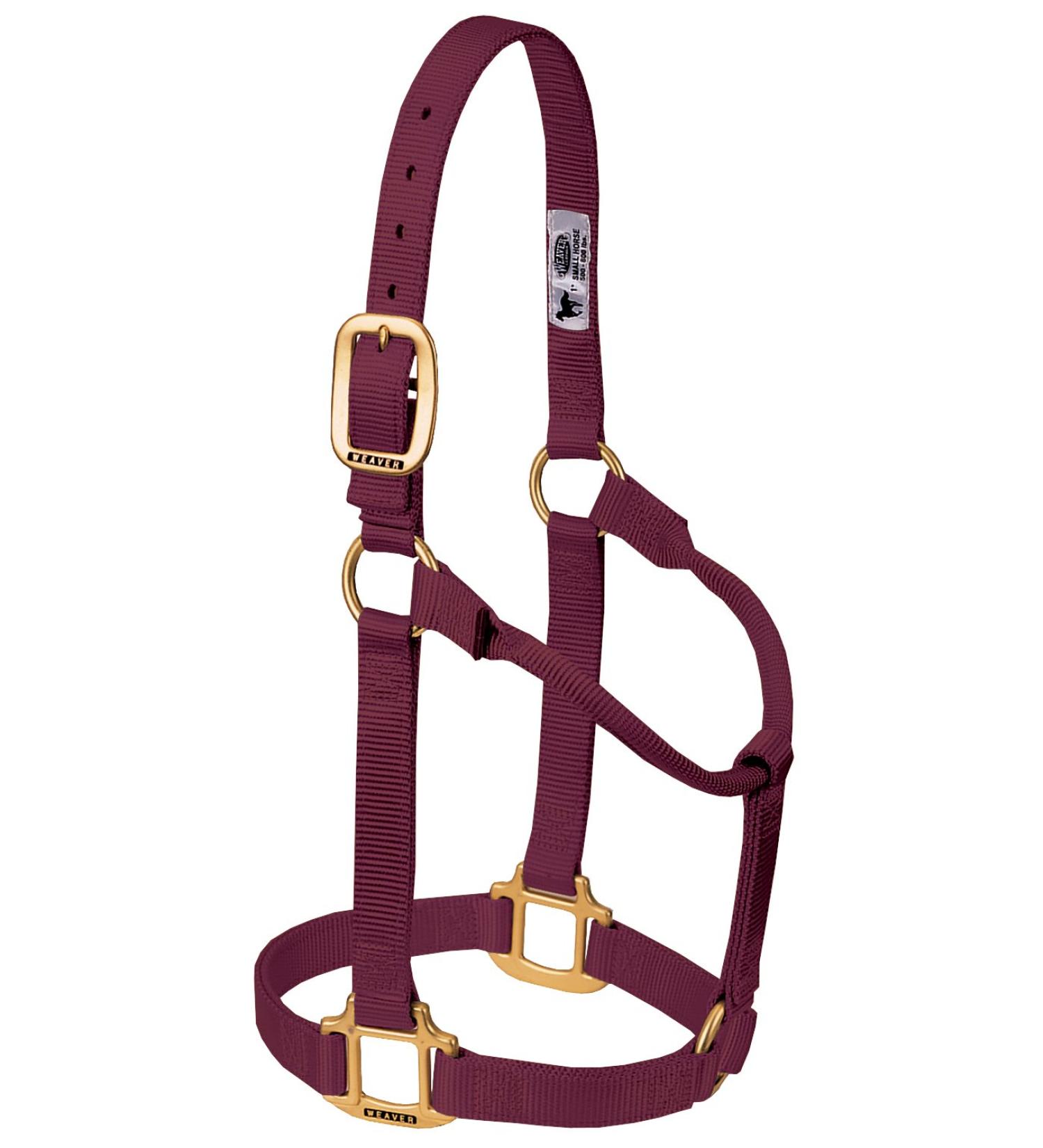 WEAVER Leather Non-adjustable halter burgundy Average Horse