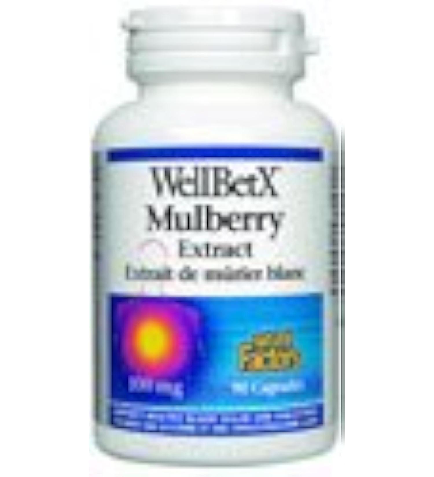 WELLBETX MULBERRY EXTRACT 100MG - 90 CAPS - Buy Online on GoSupps.com