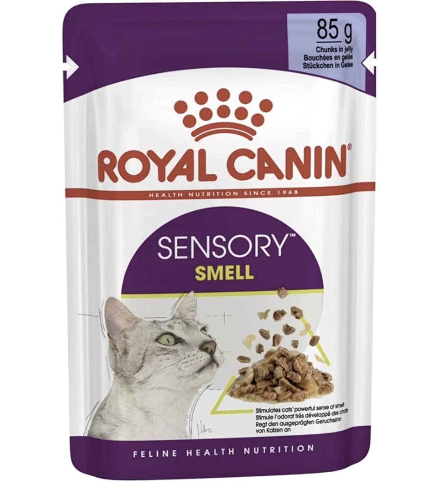 Royal Canin Sensory Smell in Jelly Wet Cat Food 85g (Pack of 24) - Buy Online on GoSupps.com