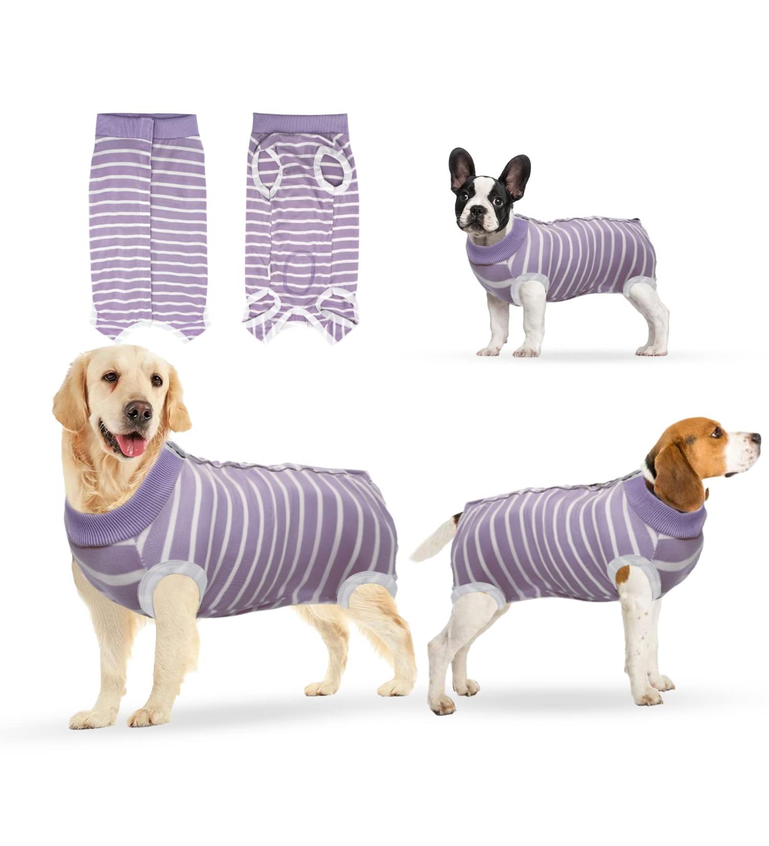 Ouuonno XXL Purple Striped Recovery Suits for Dogs & Cats | Surgical Anti-Lick Vest for Abdominal Wounds & Skin Conditions - Buy Online on GoSupps.com