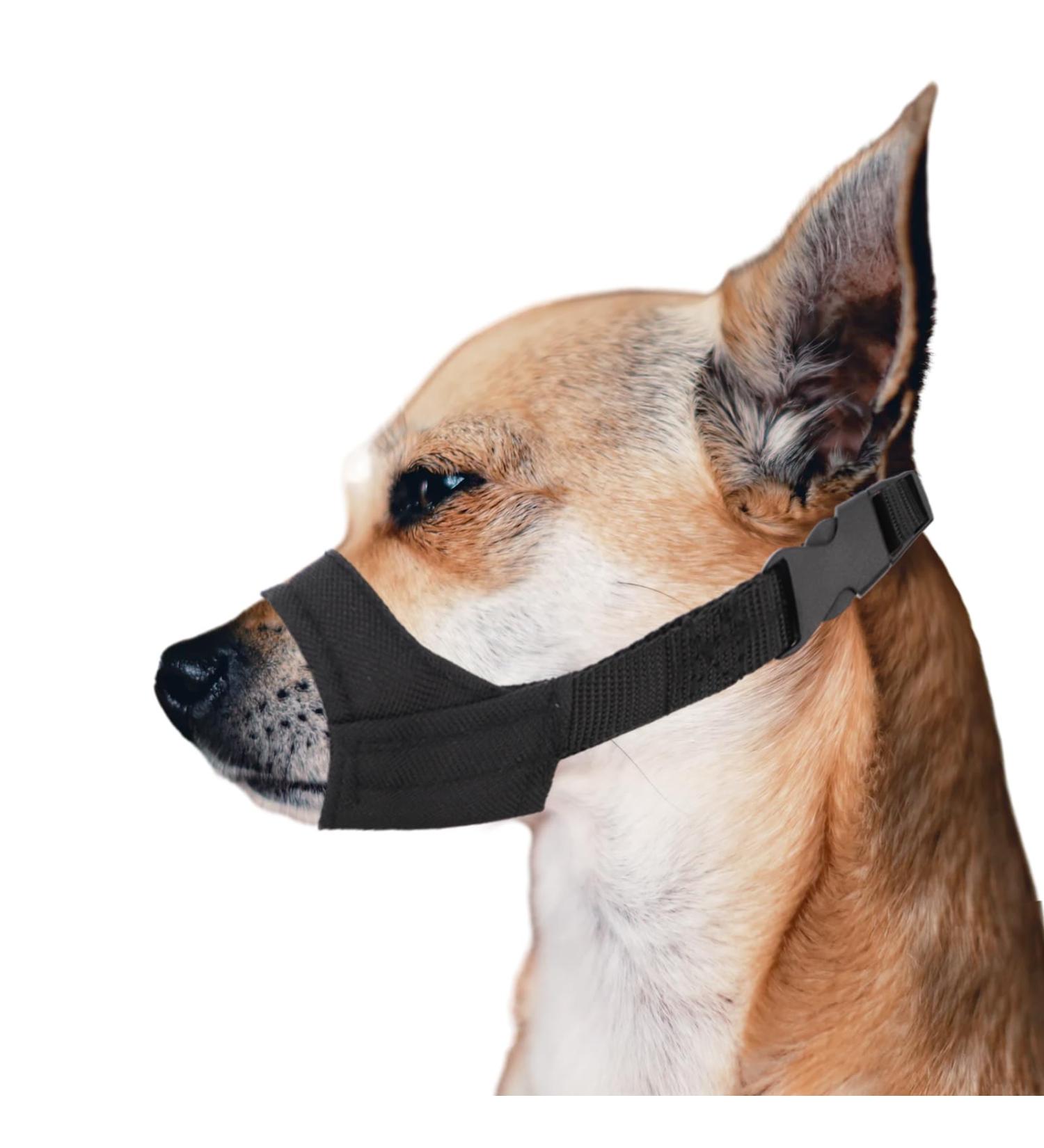 PEUTIER Short Snout Dog Muzzle for Small and Medium Dogs Breeds Soft Pet Safe Dog Muzzle Anti Biting Barking Muzzle for Snout Circumference 3.5-4.25 - Buy Online on GoSupps.com