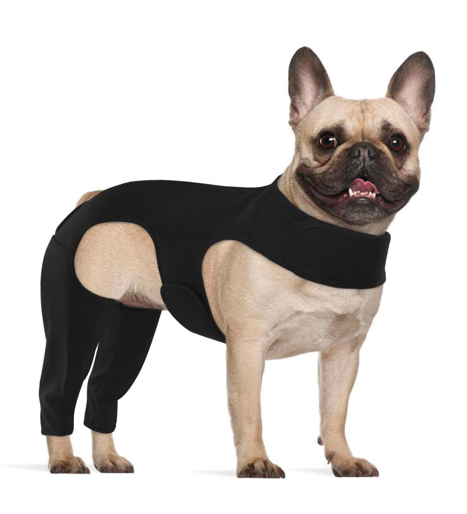 Shop Hjyokuso Dog After Surgery Body Suit - Wound Protection for Dogs XS Black E-Collar Alternative Leg & Hind Leg Protection - Buy Online on GoSupps.com