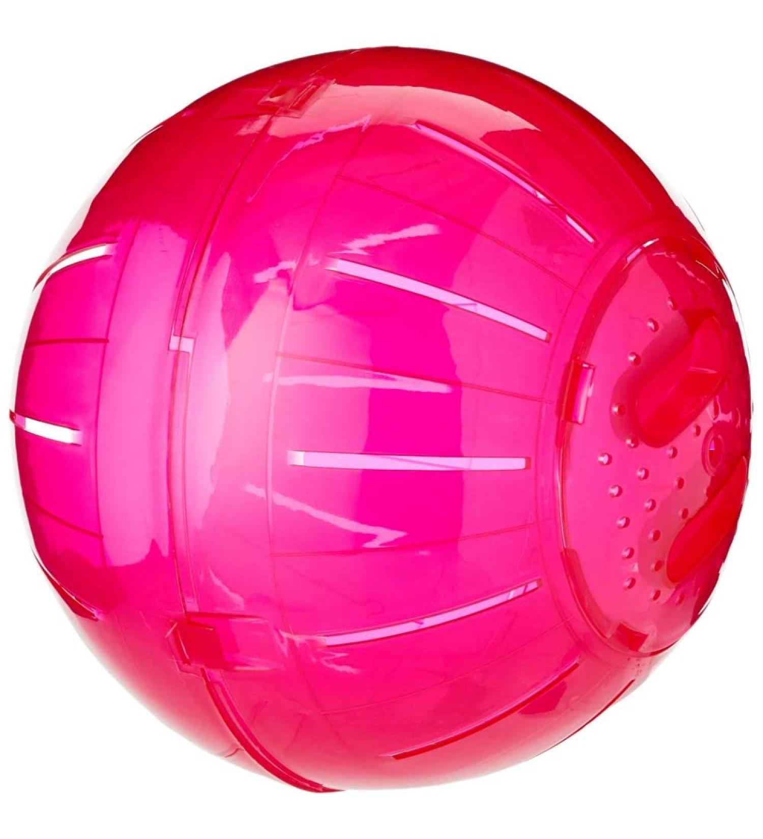 Walter Harrison's 25cm Large Plastic Running Exercise Ball for Degus & Rats - Durable and Safe - Buy Online on GoSupps.com