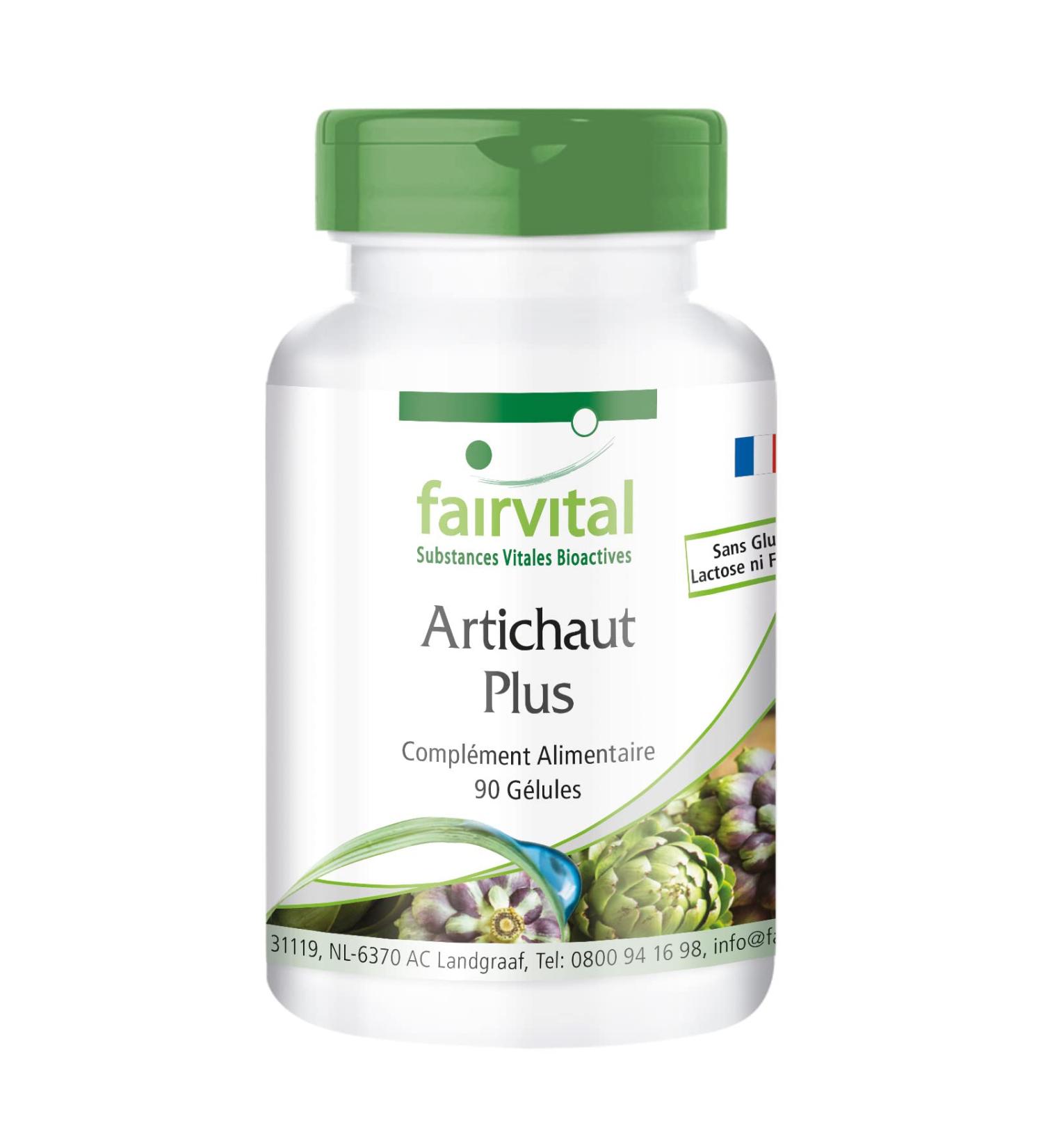 Fairvital | Artichoke Plus VEGAN - 90 capsules - with nettle extract 10:1 and juniper - Buy Online on GoSupps.com