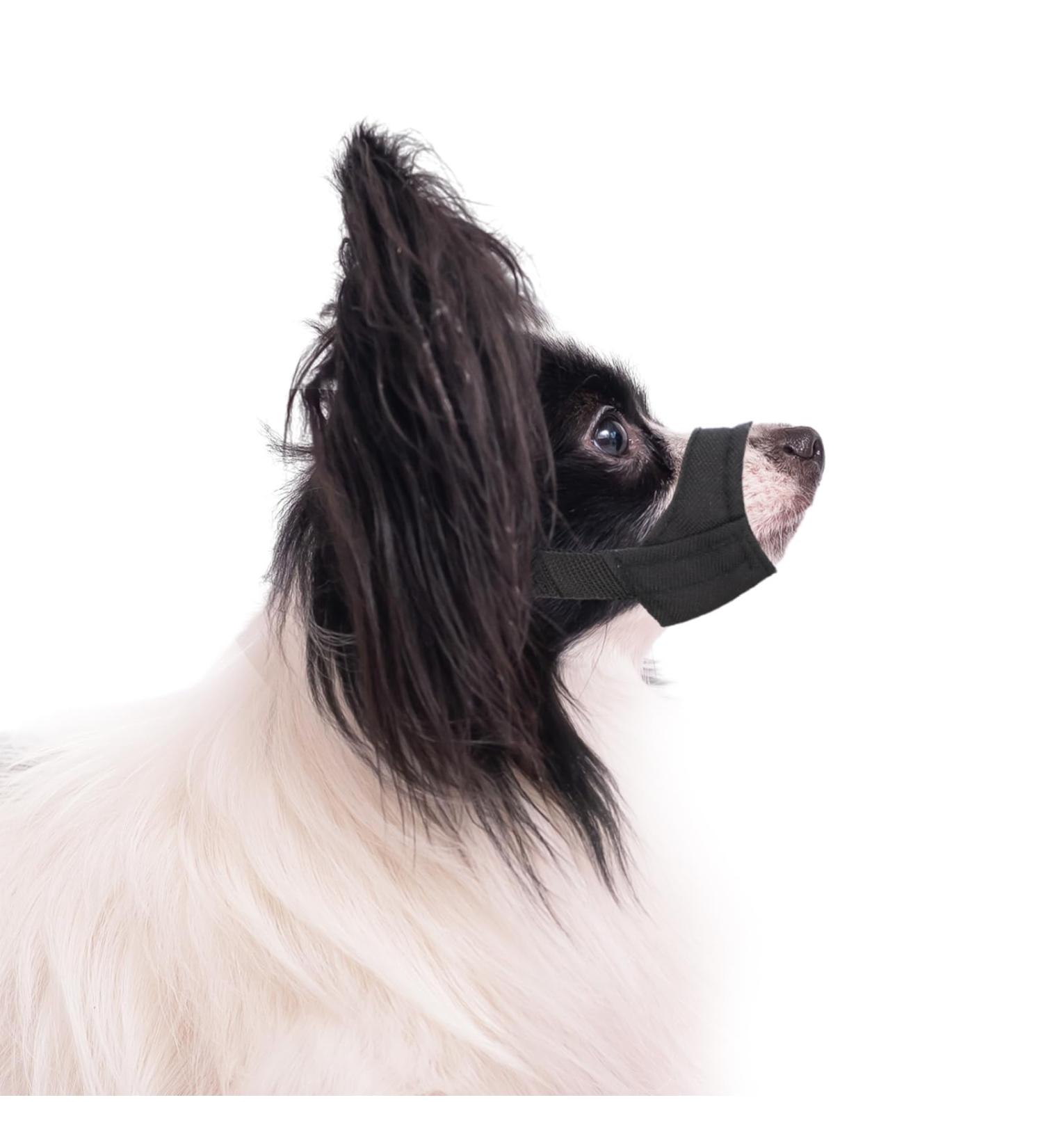 Soft Dog Muzzle for Short Snouts - Ideal for Small & Medium Breeds like Chihuahua & Shih Tzu (Snout Size 10.8-14cm) - International Shipping Available - Buy Online on GoSupps.com