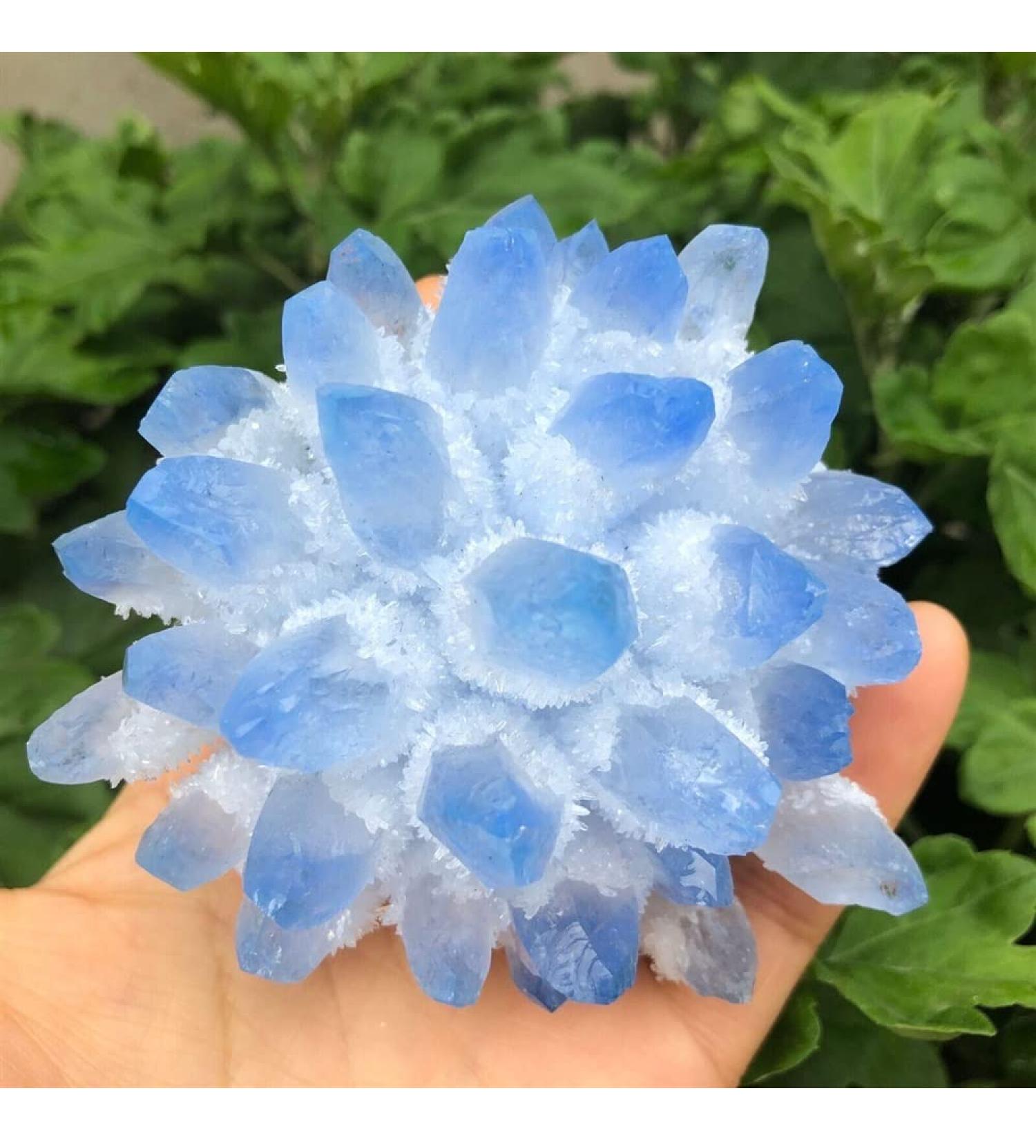 Blue Phantom Quartz Crystal Cluster Ore Crystal Cluster (Size : 250-300g) - Buy Online on GoSupps.com