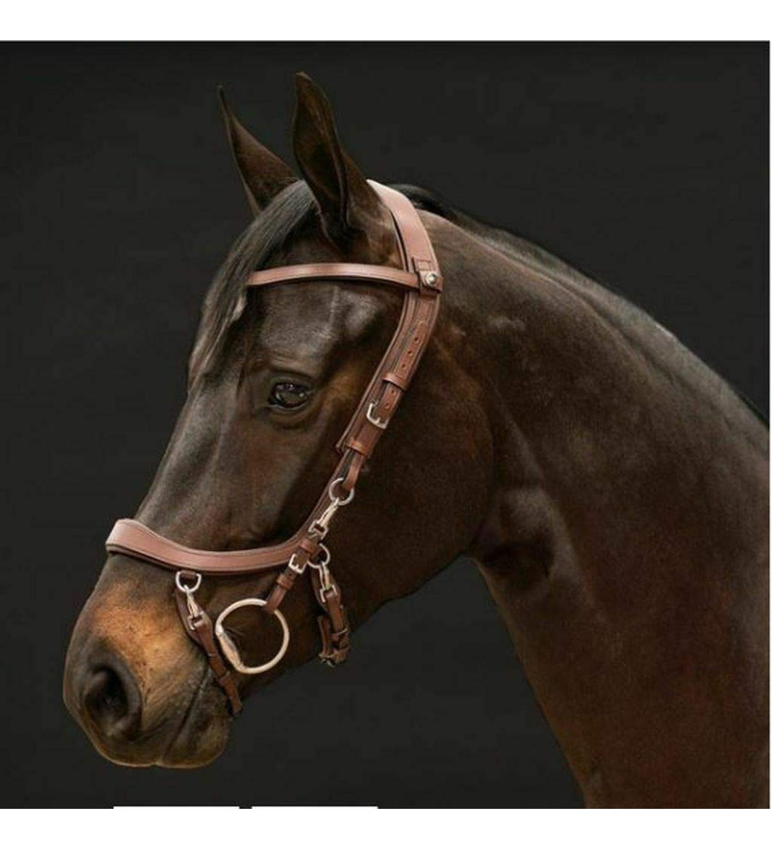 Buy PresTeq FaySport Snaffle Bridle - Brown Warmblood Extra | International Shipping Available - Buy Online on GoSupps.com