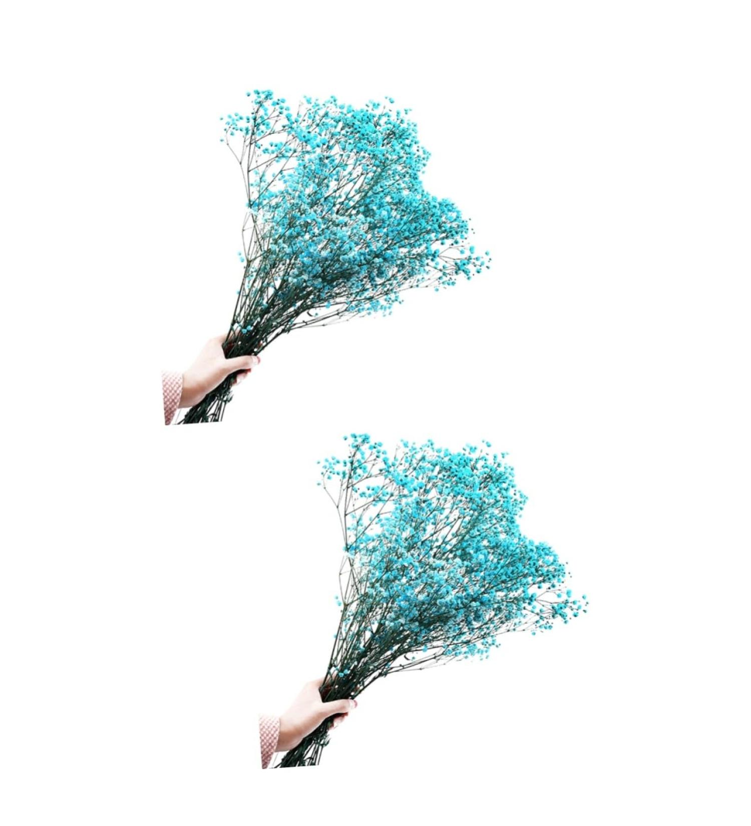 2pcs Plant Decor Gifts Dried Flowers The Gift Dried Flower Decor Creative Preserved Flower Preserved Flower Decor Romantic Preserved Flower Artificial Gypsophila Bluex2pcs 60X20cmx2pcs - Buy Online on GoSupps.com