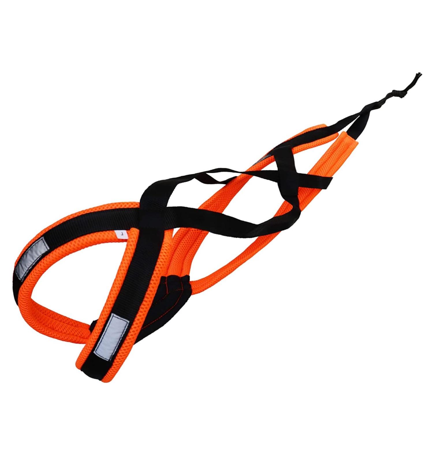 LASALINE X Back Dog Harness for Canicross Dogscooter & Bikejoring - Black & Neon Orange - Ideal for Active Dogs - Buy Online on GoSupps.com