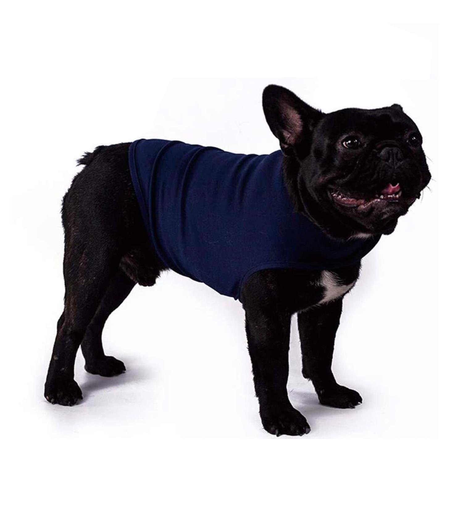 Wingfly Dog Coat Calming Vest - Anxiety Relief Shirt for Dogs | Stress-Free Pet Clothing (Medium Blue) - Buy Online on GoSupps.com
