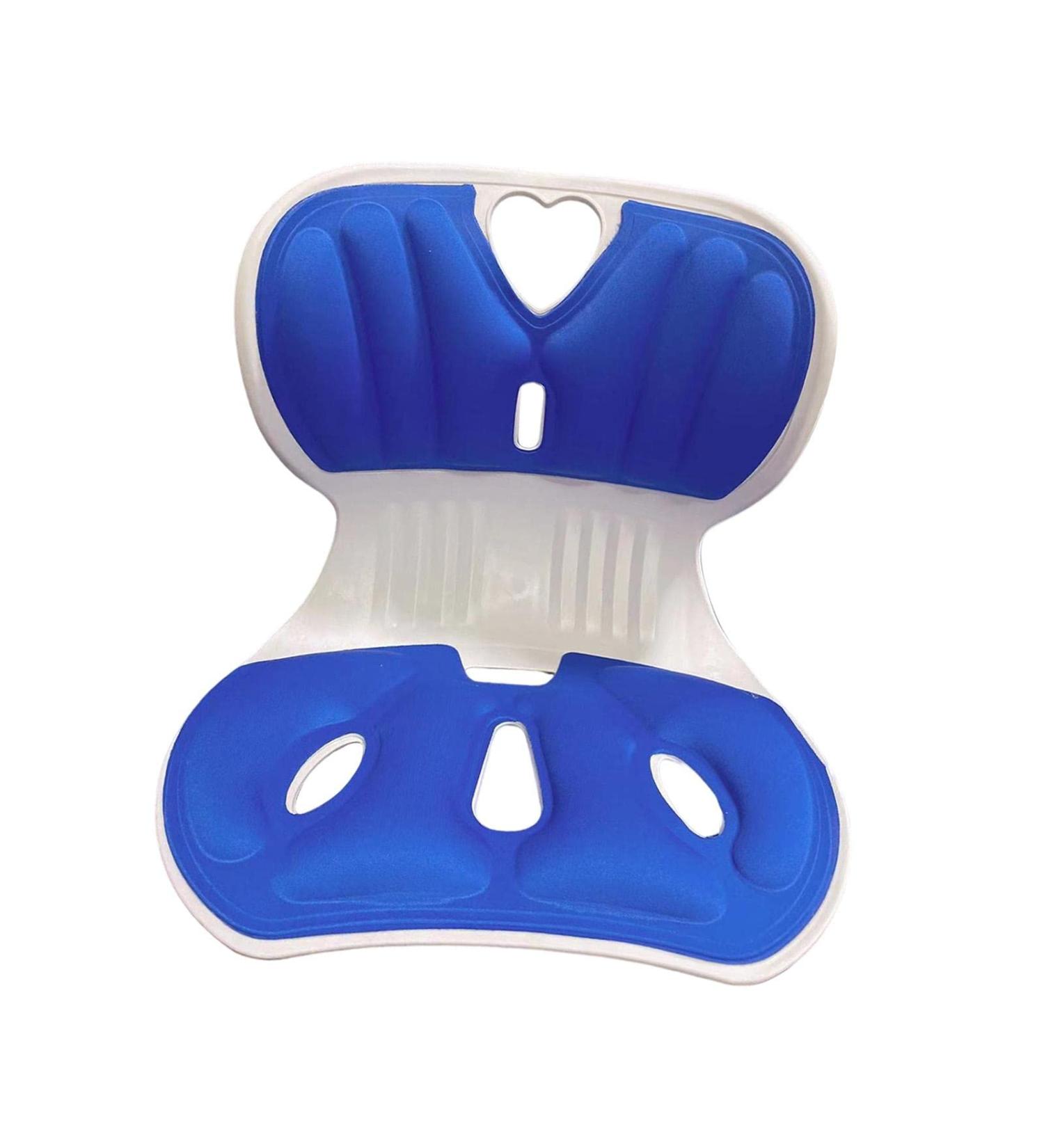 MERIGLARE Lumbar Support Pillow for Sitting Comfort Blue - Buy Online on GoSupps.com