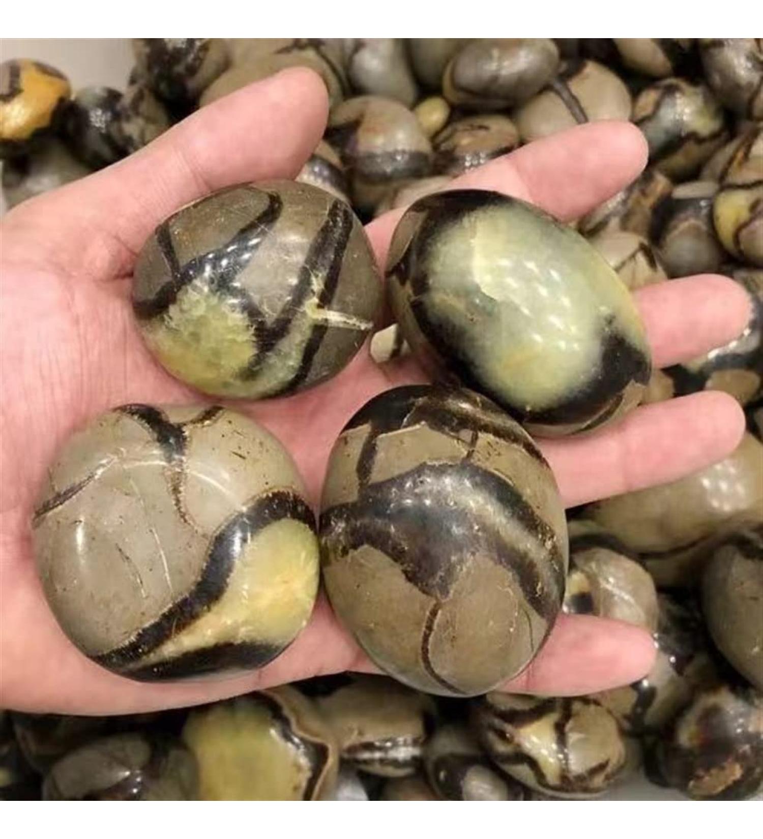 Natural Crystal Rough Specimen Natural ReikiSeptarium Quartz Crystal Stone Septarian Palm Size for Home DecorationStone Stone Mineral Specimen (Color : Light Grey Size : 5pc) 5pc Light Grey - Buy Online on GoSupps.com