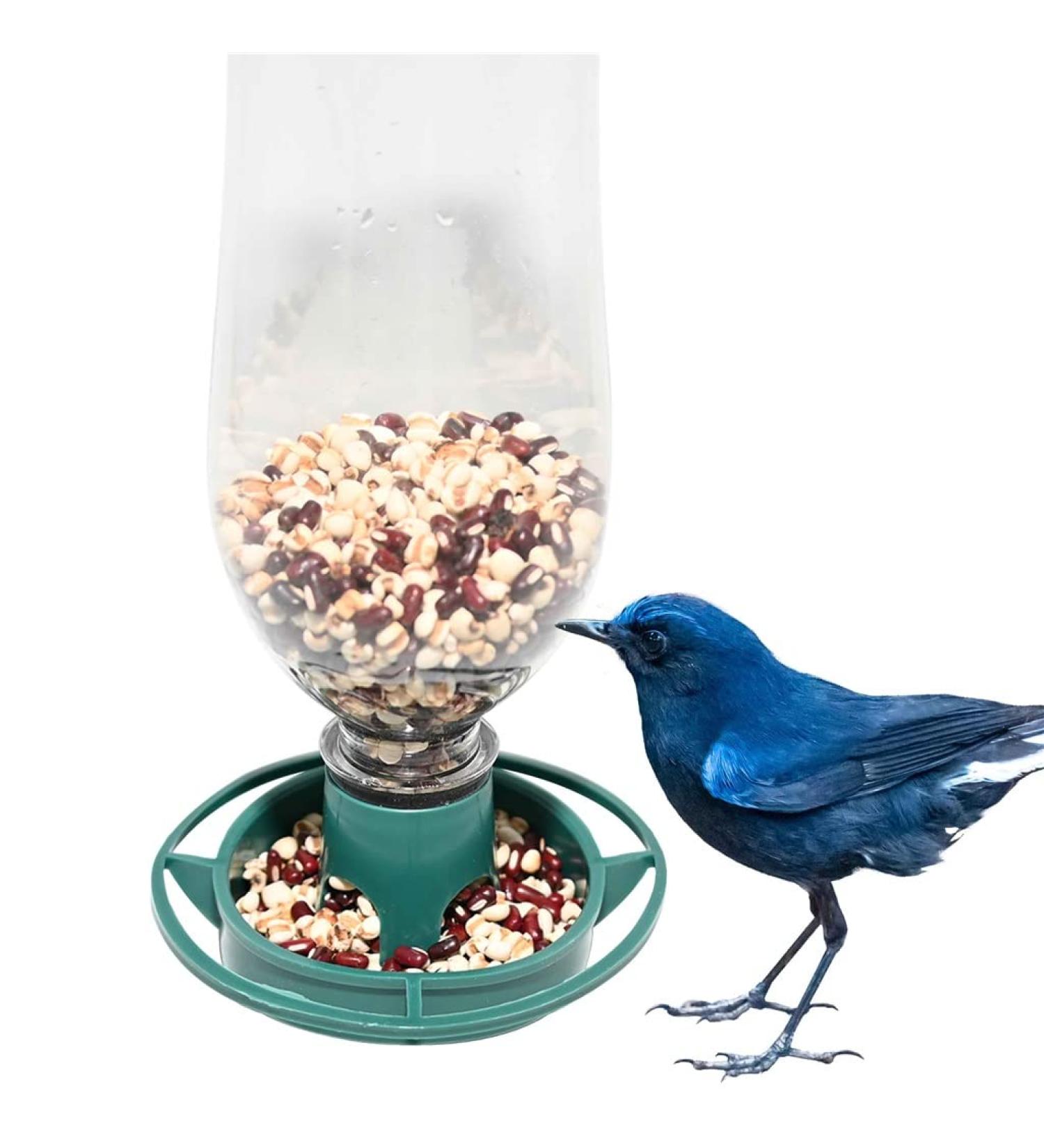 Recycle Empty Soda Bottle Top Bird Feeder Easy to Hang Outdoors Fill Bottle with Seed Twist On Feeding Tray - Buy Online on GoSupps.com