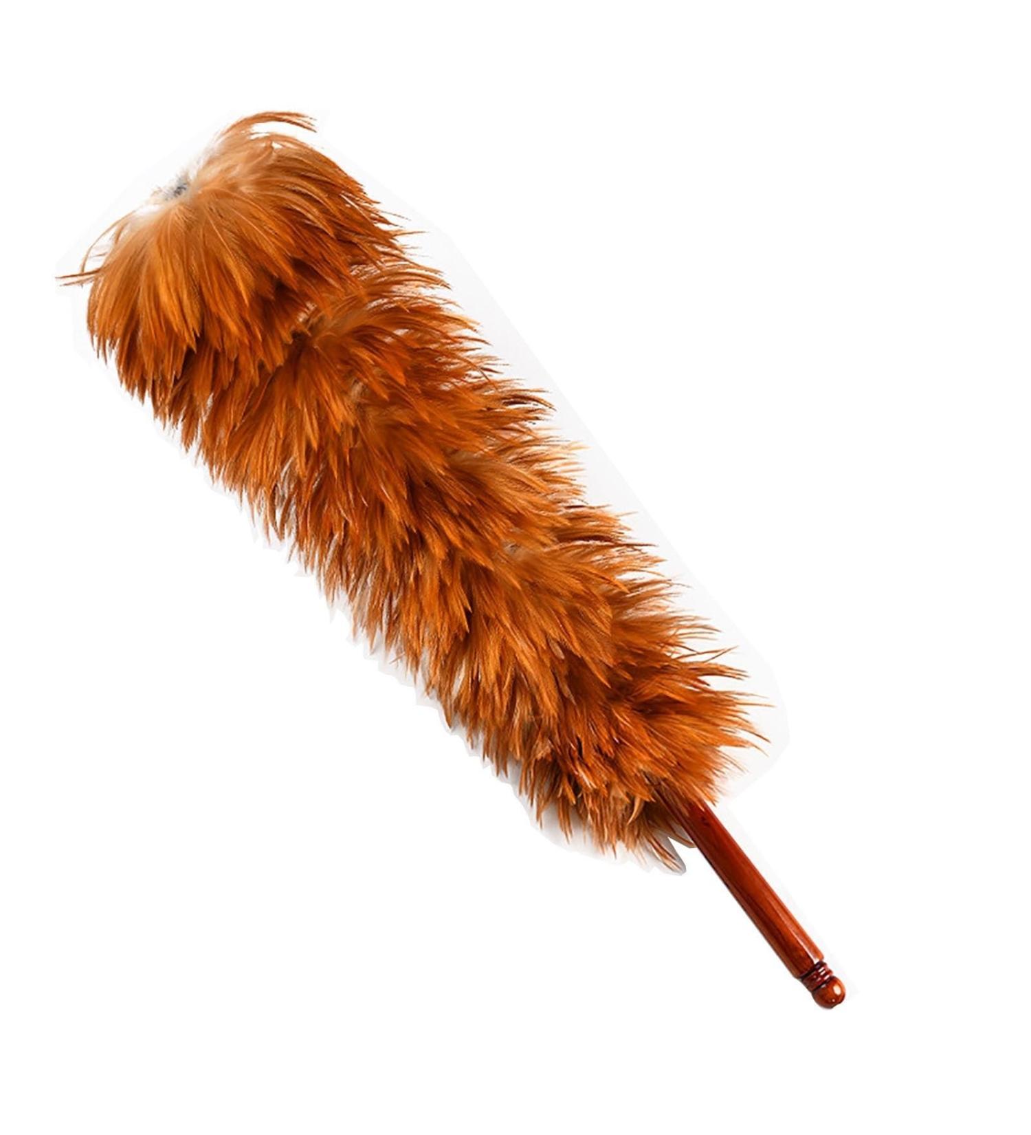 FCSHFC Natural Feather Duster Reusable Dusters for Cleaning with Wooden Handle for Cleaning Ceiling Fans Window Blinds Computer Screens Bookshelves Etc - Buy Online on GoSupps.com