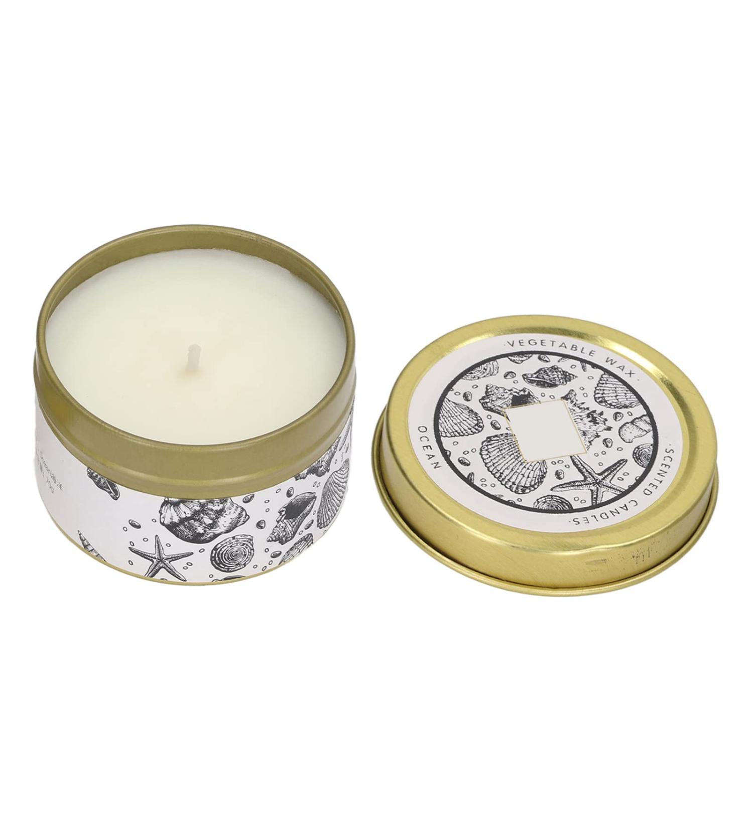 Premium Soy Wax Ed Candle | Rosemary & Bay Leaf | 40-Hour Burn | Eco-Friendly Tin | Perfect for Candlelight Dinners | International Shipping Available - Buy Online on GoSupps.com