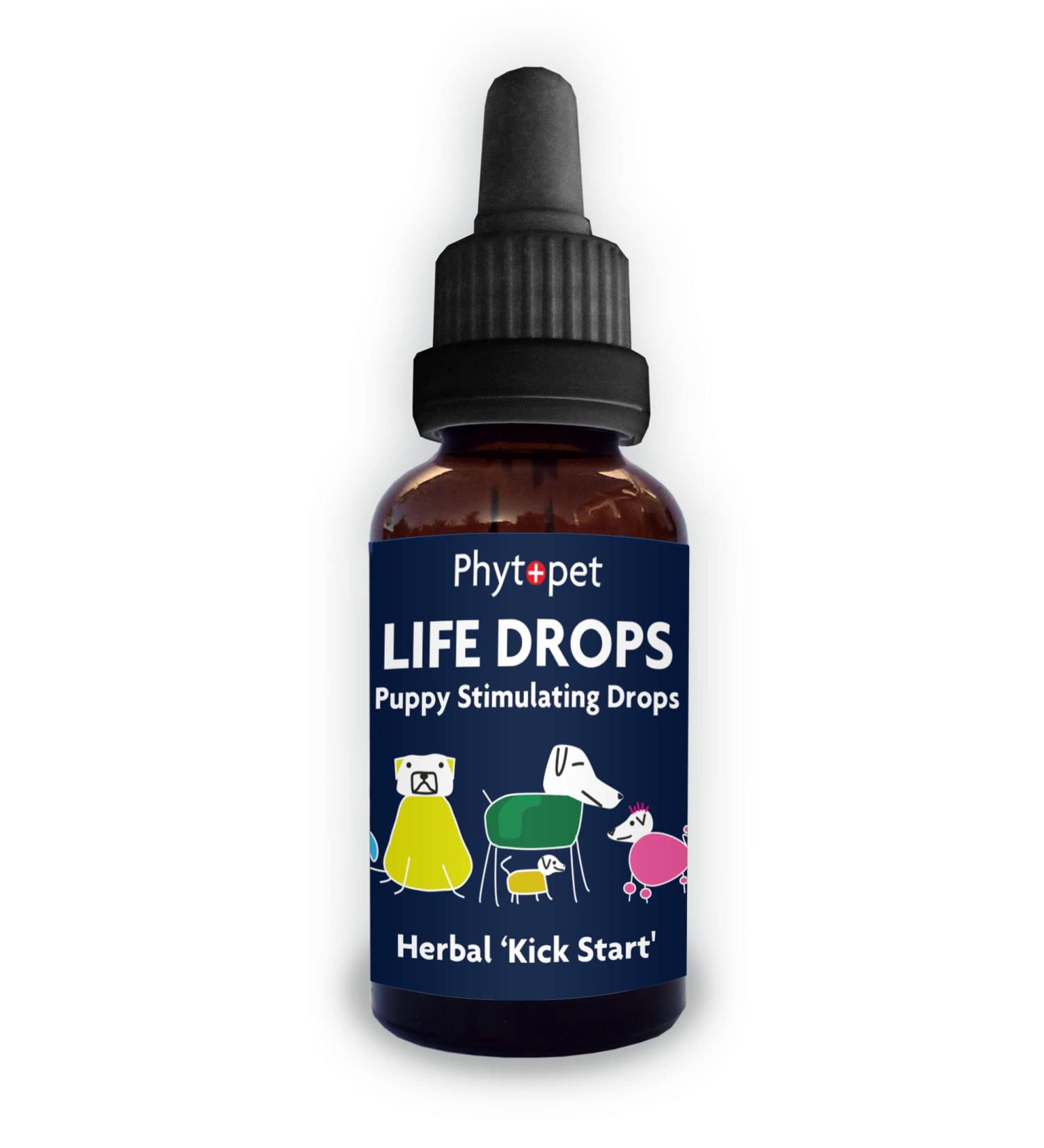PhytoPet Life Drops | Natural Herbal Stimulant for Newborn & Elderly Pets | Ideal for Puppies Kittens Birds Foals | 10ml - Buy Online on GoSupps.com