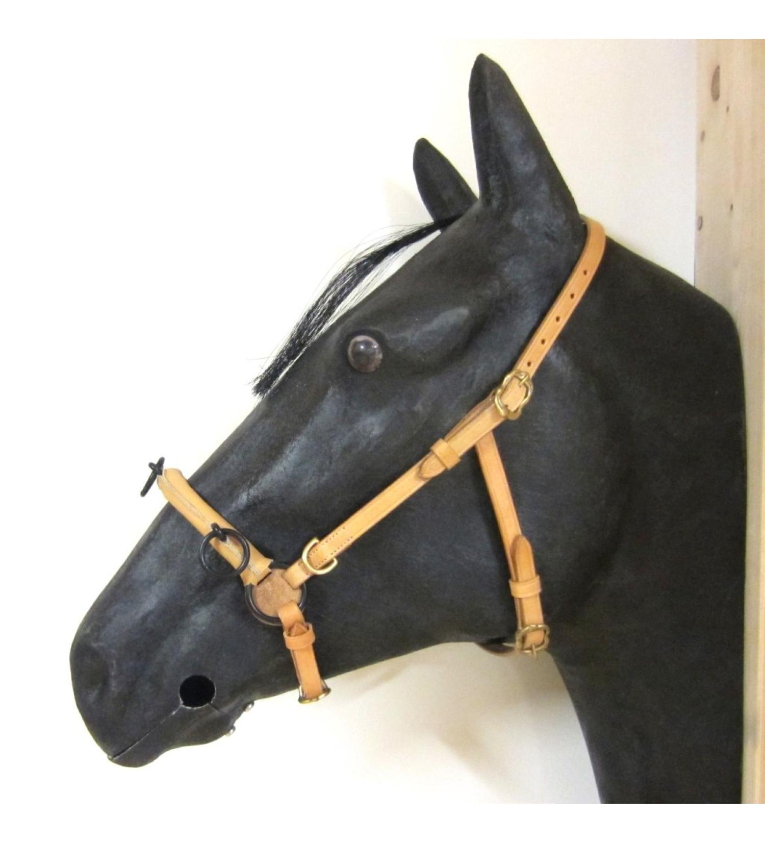 Buy PS Horse French Cavesson with D-Rings - Soft Full Size Natural & Gold Fittings | International Shipping Available - Buy Online on GoSupps.com