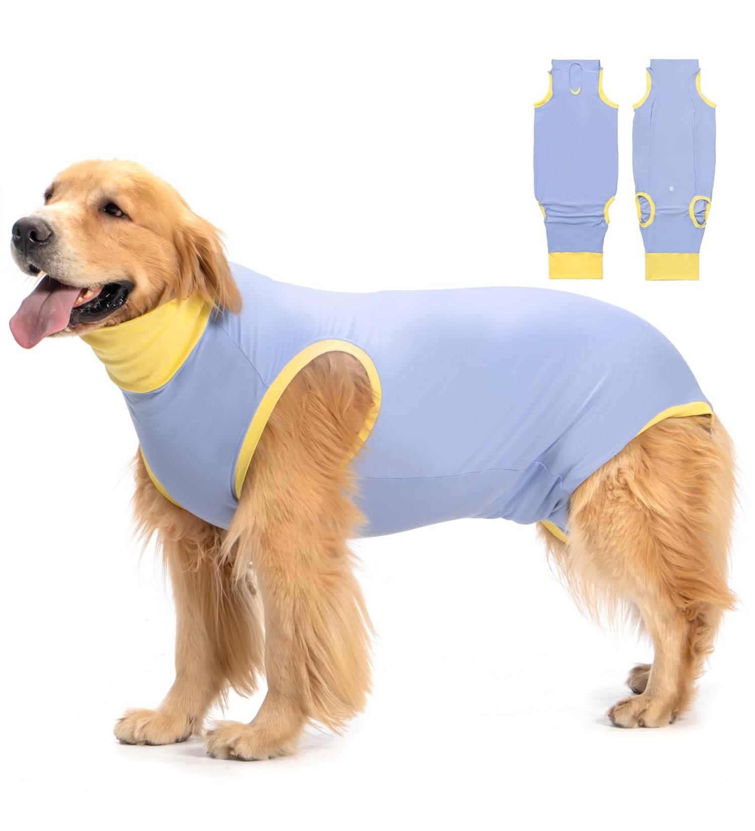 Avont Dog Recovery Suit - Postoperative Wound Protection for Neutered Males & Bitches - Blue (3XS) - Prevents Leak & Ensures Comfort - Buy Online on GoSupps.com