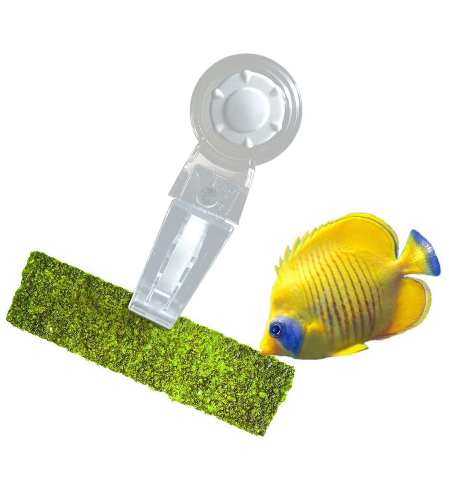 Luffy Aquarium Clip 4x2 Inches - Betta Bed & Vegetable Holder - Feeding Accessories - 1 Pc Pack - Buy Online on GoSupps.com