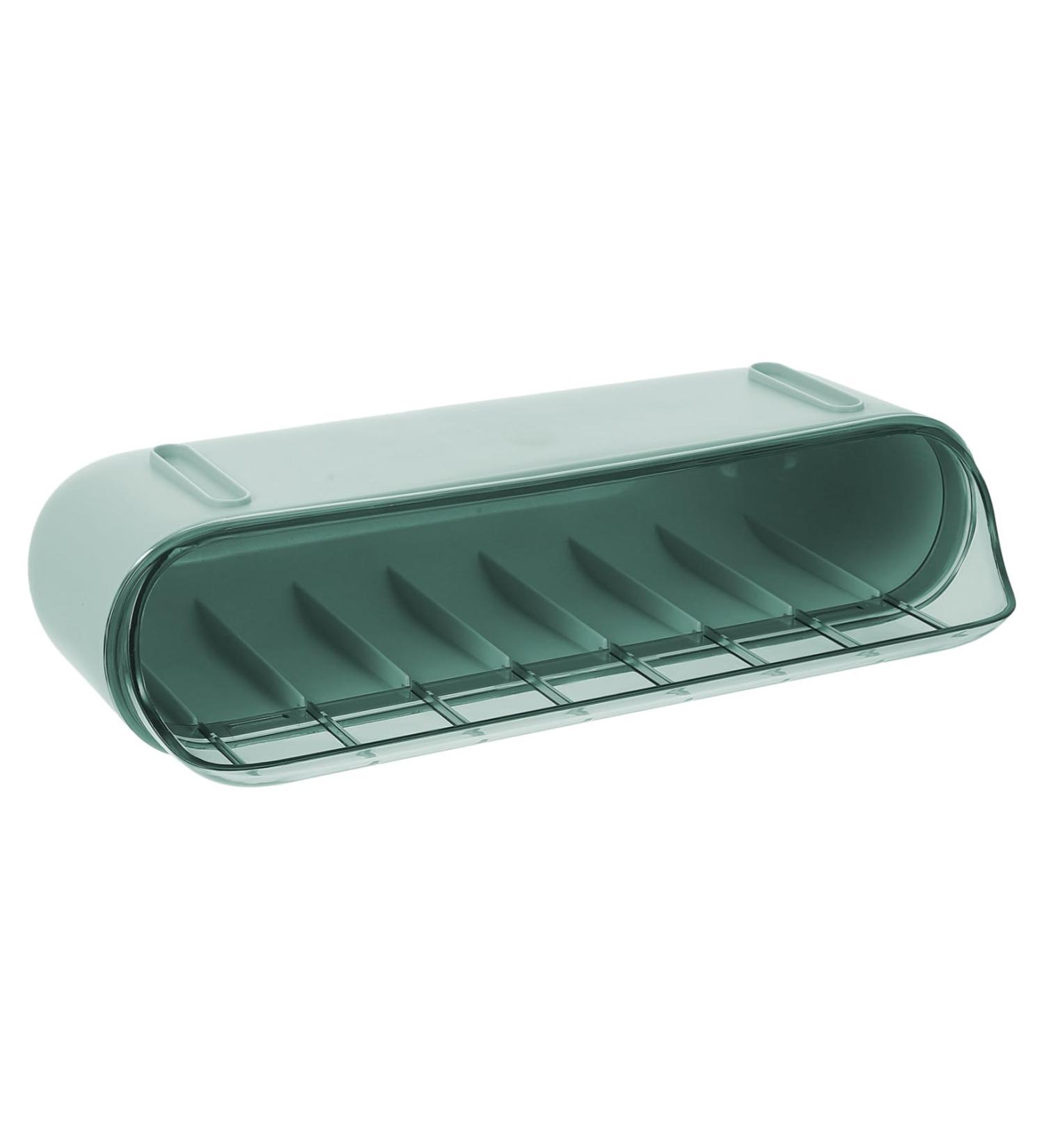 RORPOIR Deviled Egg Holder 1 Pc Slide Egg Collection 2 Tier Tray Refrigerator Egg Tray Double Layer Food Container Vegetable Green 28.5X15CM - Buy Online on GoSupps.com