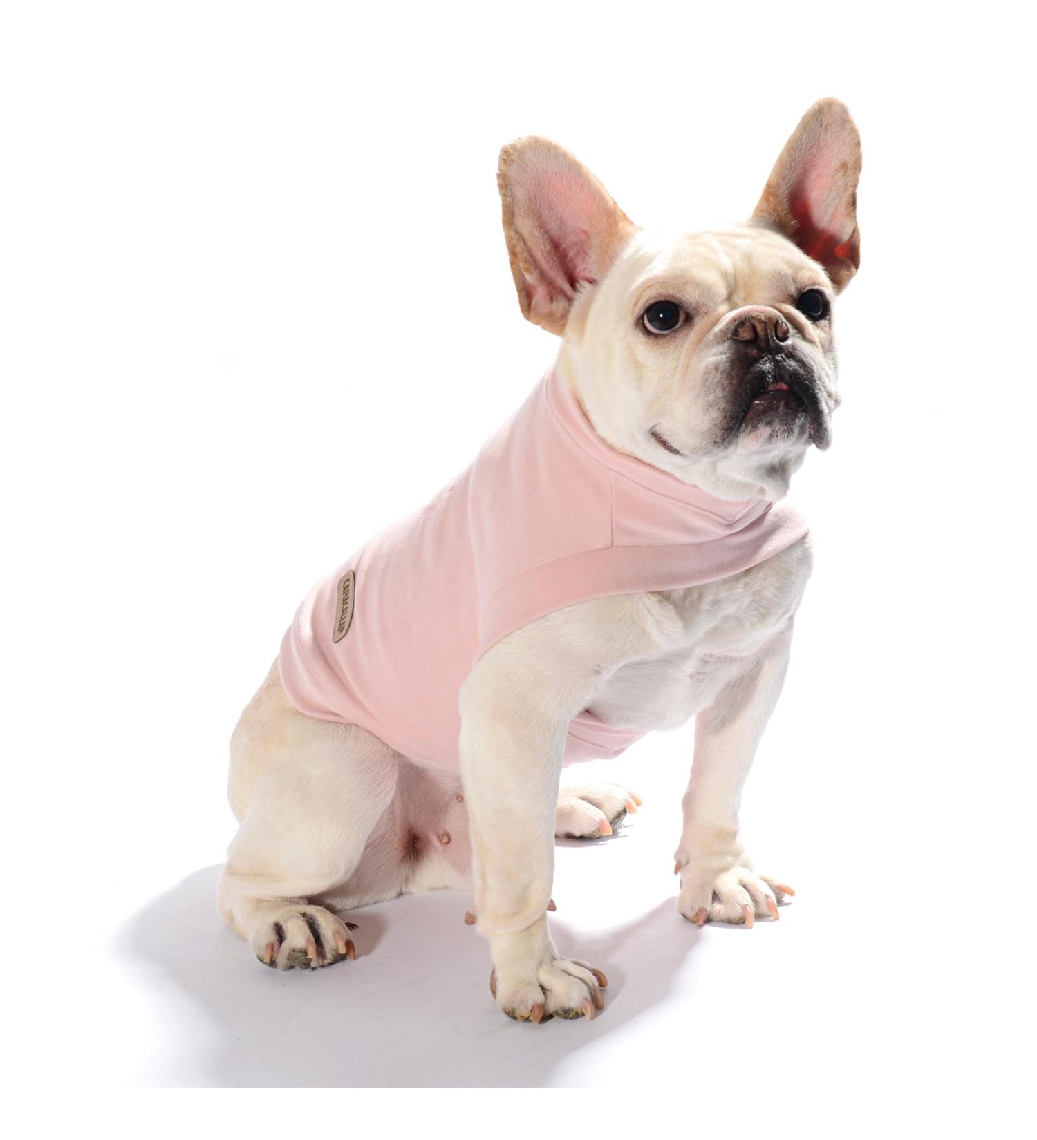 Buy Caracaleap Dog Sweater - Soft & Warm Winter Coat for Medium Dogs - XL Pink T-Shirt - Buy Online on GoSupps.com