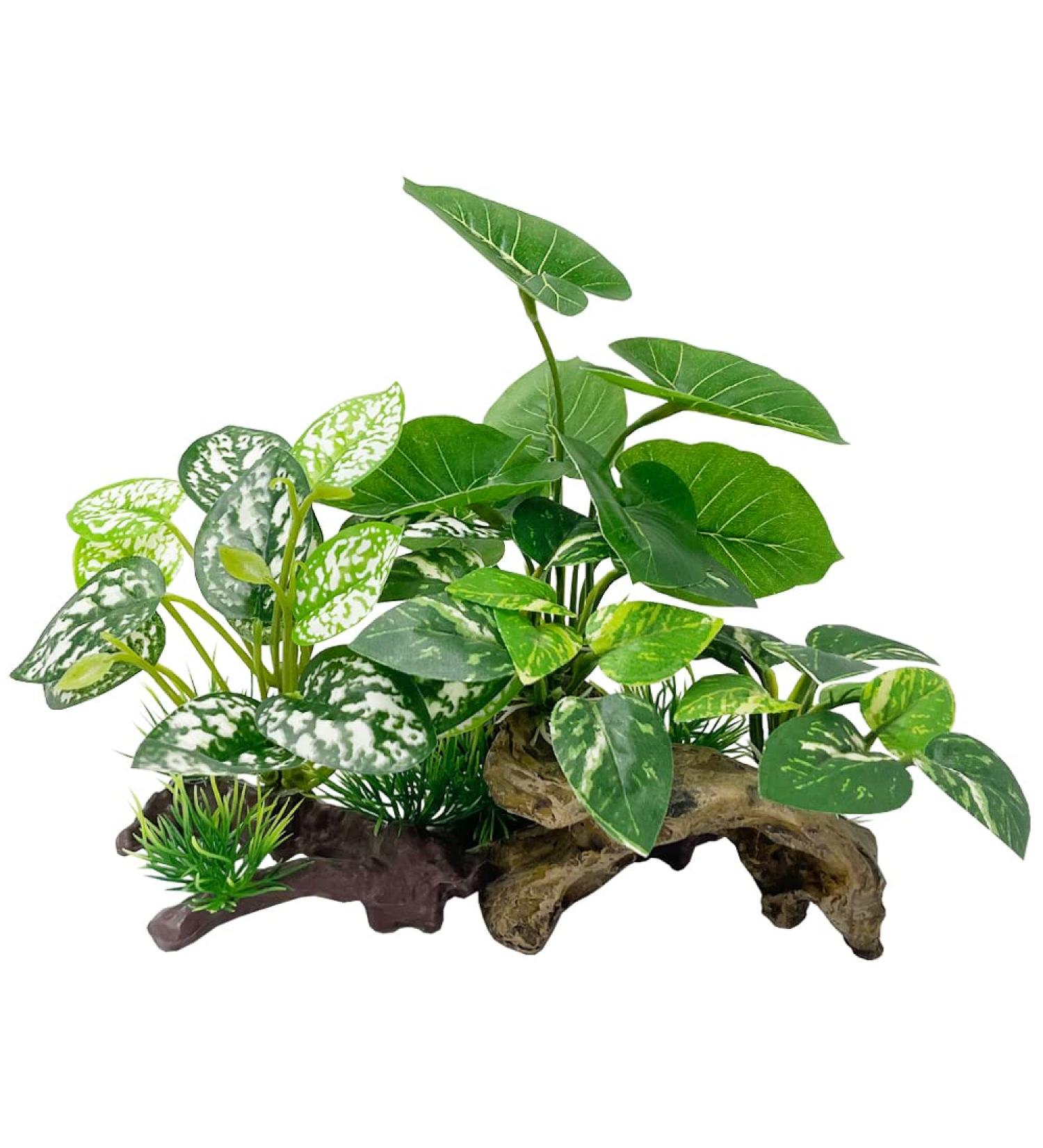 Smoothedo-Pets Aquarium Decoration | Betta Silk Blade Pad Driftwood Cave & Shell Accessories - Enhance Your Fish Tank! - Buy Online on GoSupps.com