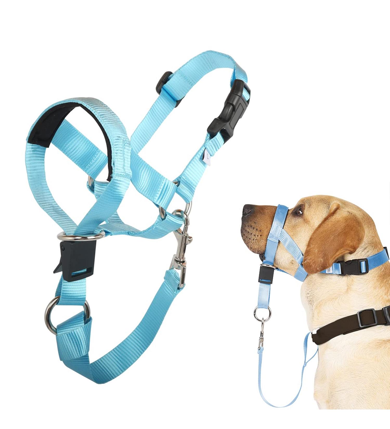Barkeless Dog Handlebars - No Pull Head Halter for Dogs | Adjustable & Padded with Training Guide - Medium Light Blue - Buy Online on GoSupps.com