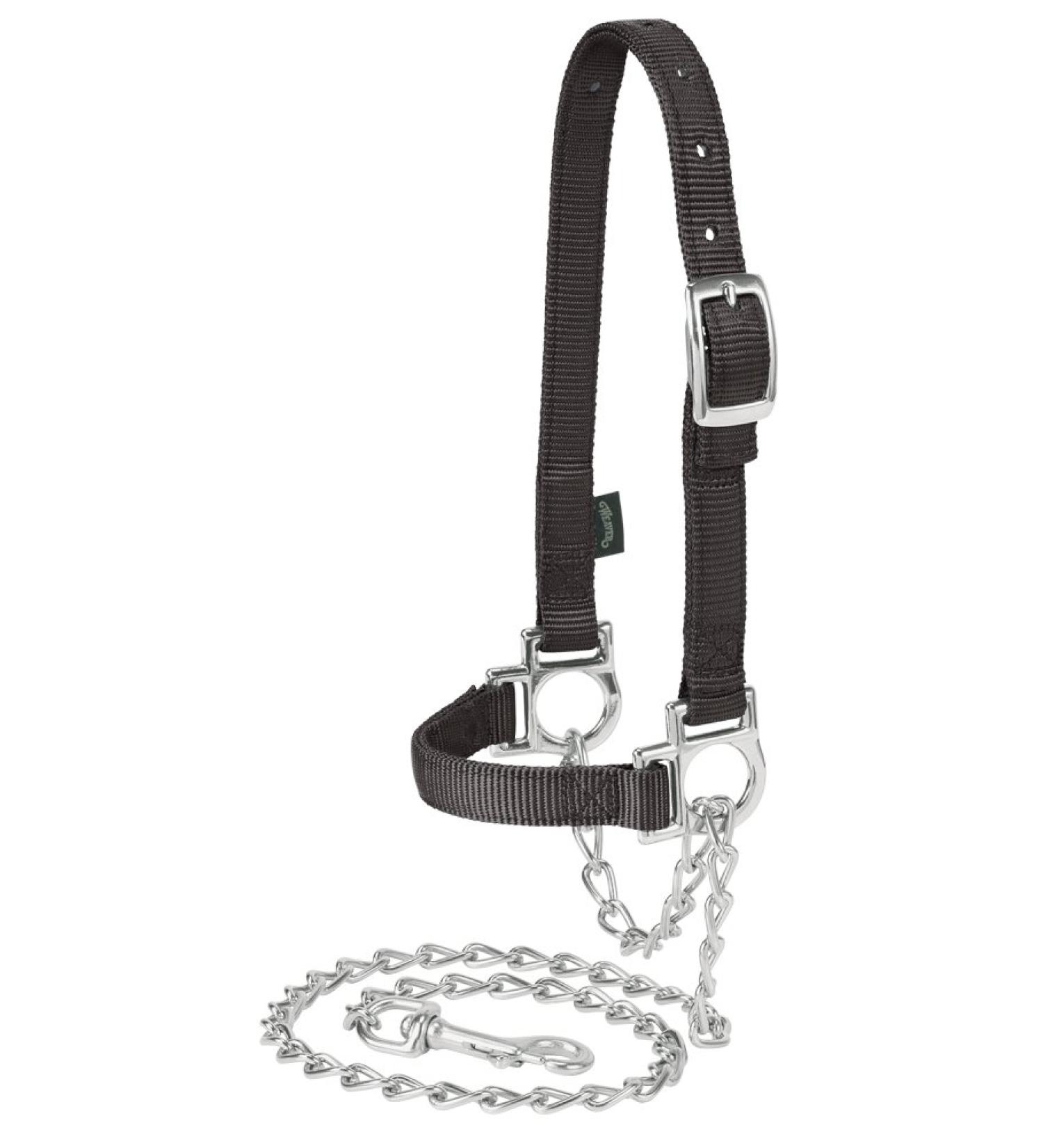 Weaver Leather Livestock Nylon Adjustable Sheep Halter with Chain Lead , Black