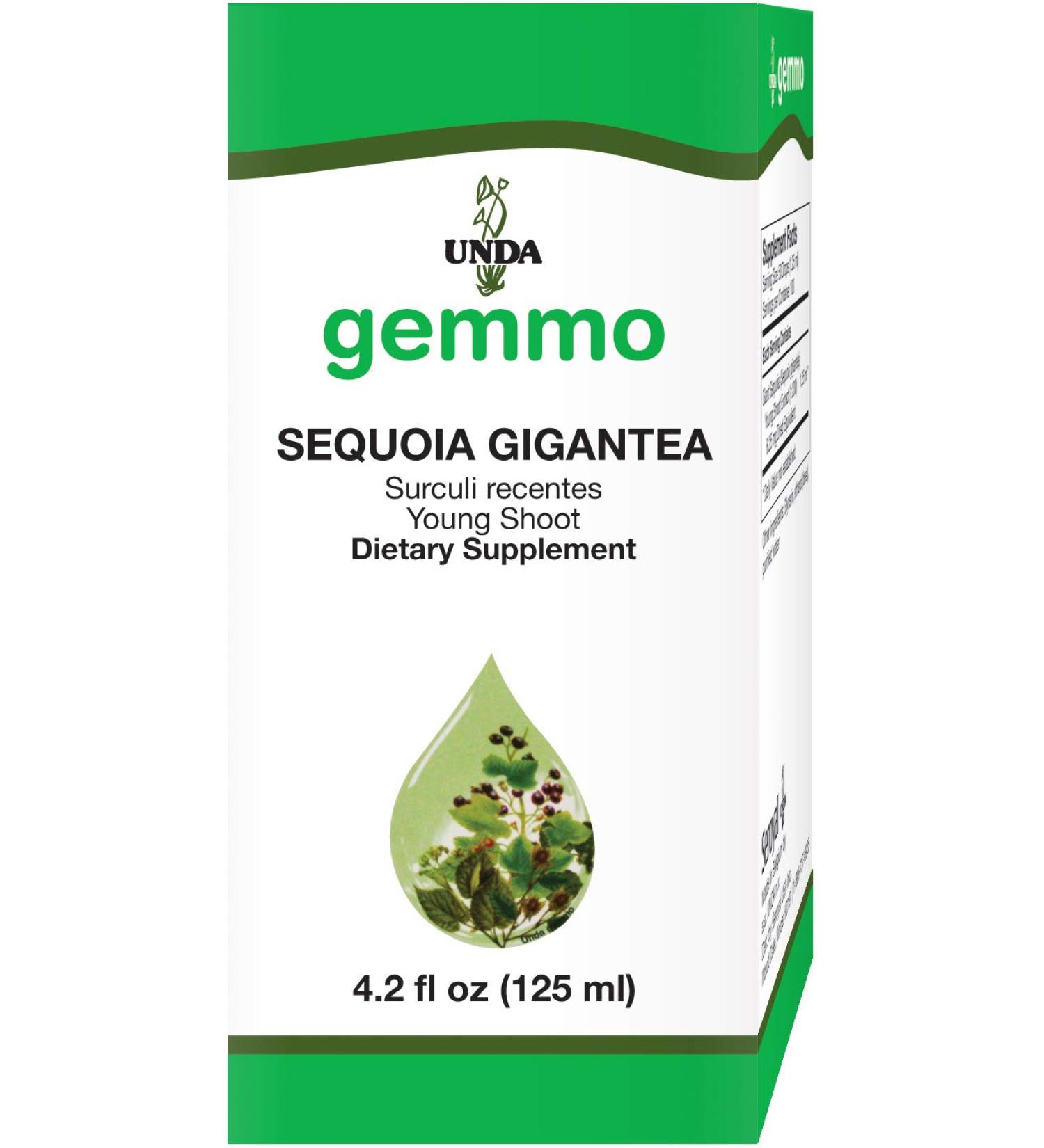 UNDA Gemmo Therapy Sequoia Gigantea - Giant Sequoia Young Shoot Extract 4.2 fl. oz | Natural Health Supplement | Buy Internationally - Buy Online on GoSupps.com