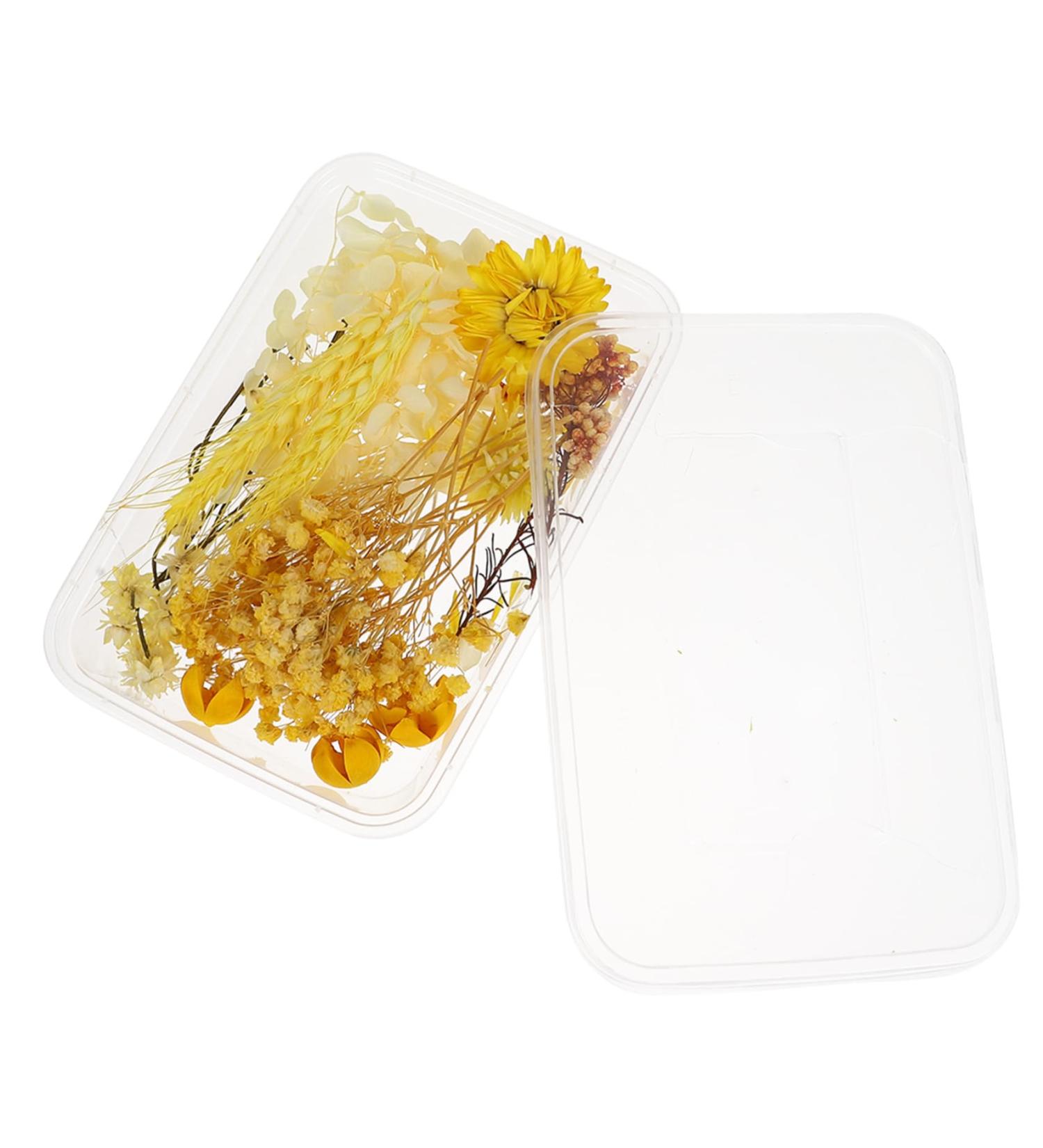 Zerodeko 1 Box Dried Flowers Dry Flowers for Resin Dried Hydrangea Flowers Scrapbooking Art Floral Picture Frame Flower Diy Floral Material Package Pressed Flowers Natural Fine Decorate Yellow 11X1CM - Buy Online on GoSupps.com