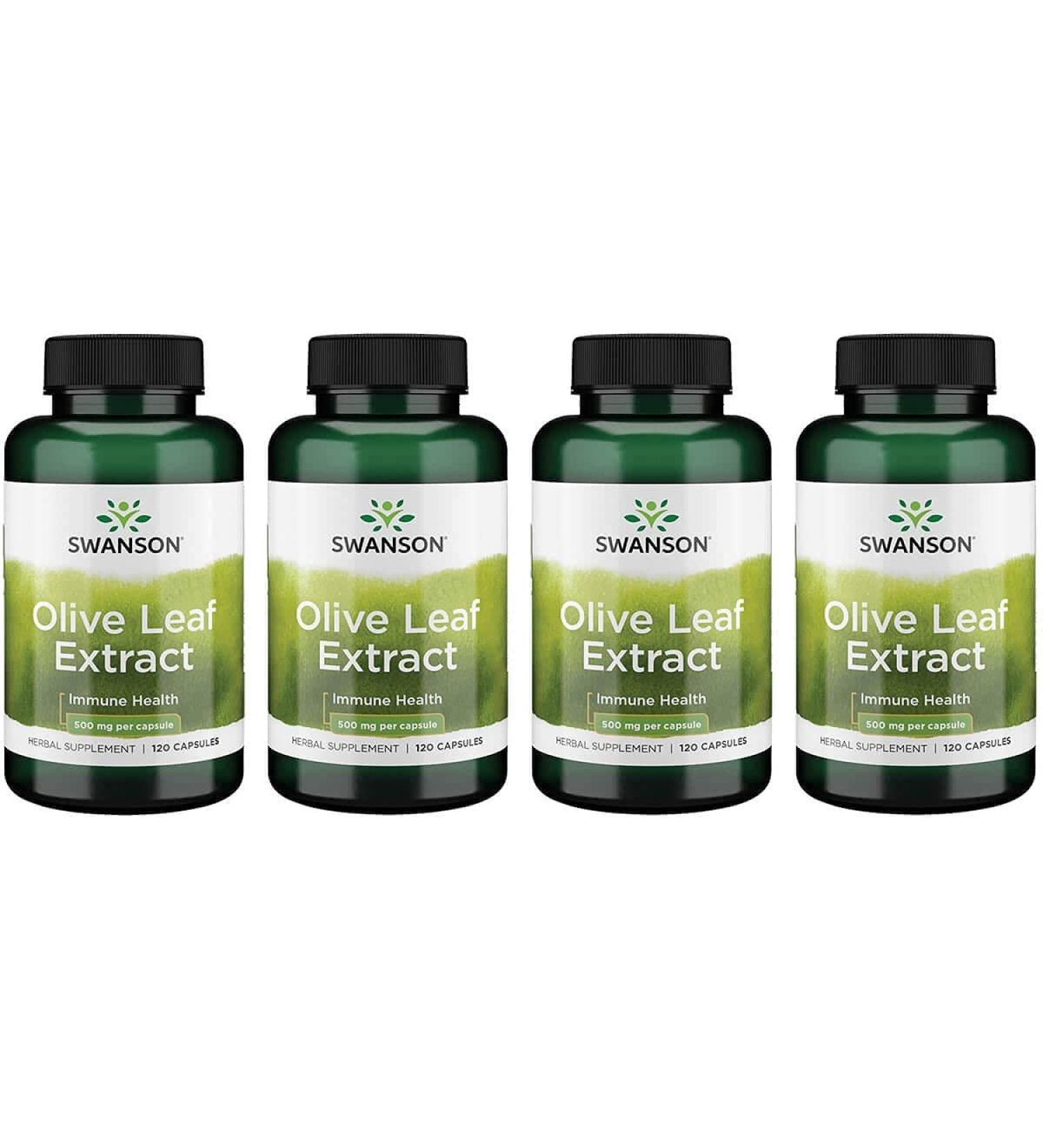 Swanson Olive Leaf Extract 500mg - 120 Capsules | Immune Support & Antioxidant - Buy Online on GoSupps.com