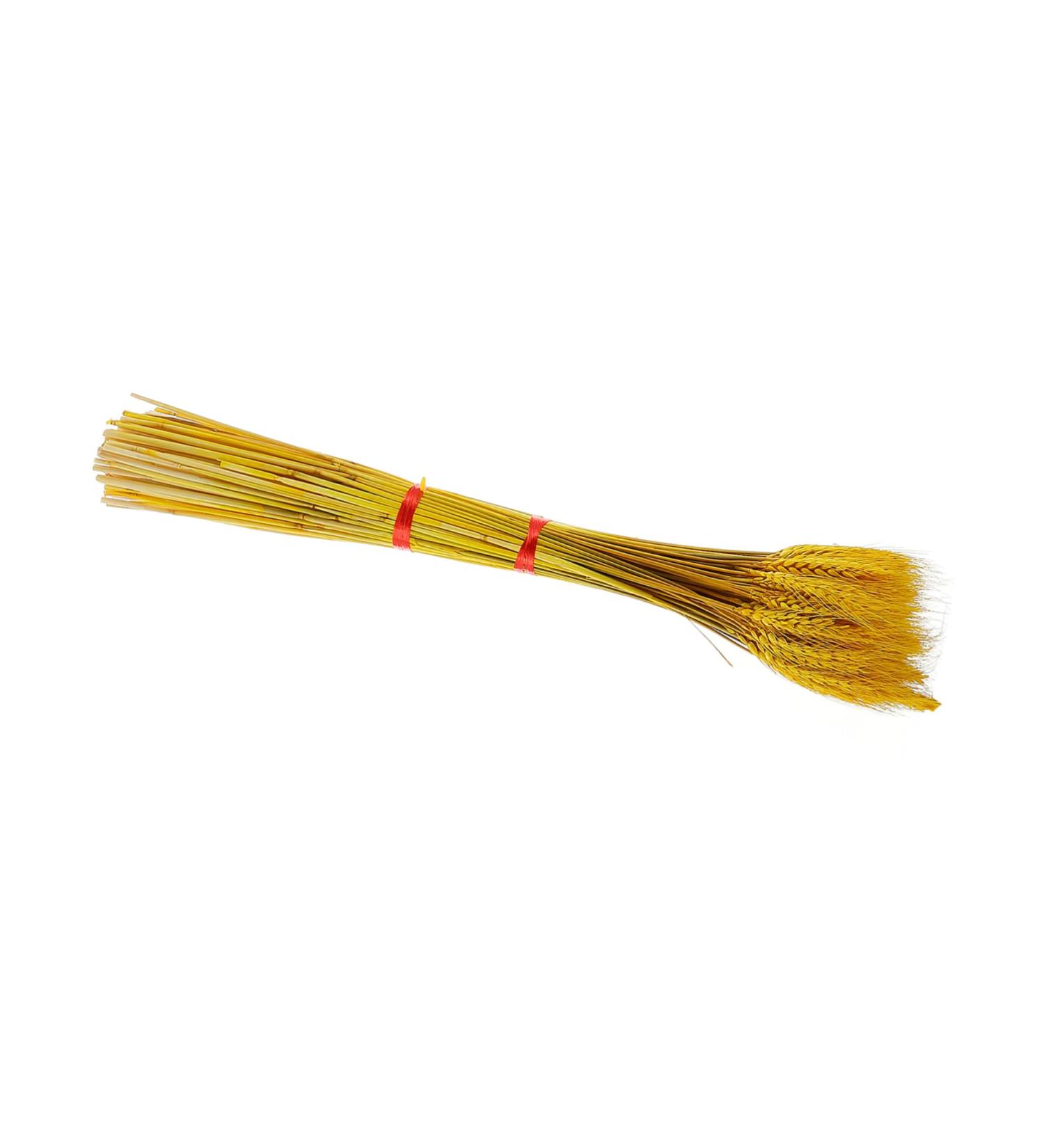 Abaodam 100pcs Dried Wheat Ears Bouquet Dried Rabbit Tail Grass Dried Floral Dried Wheat Stalk Picks Decked Wedding Ceremony Decorations Desktop Wheat Ear Rural Dried Flowers. Real Flower Yellow 52X10CM - Buy Online on GoSupps.com