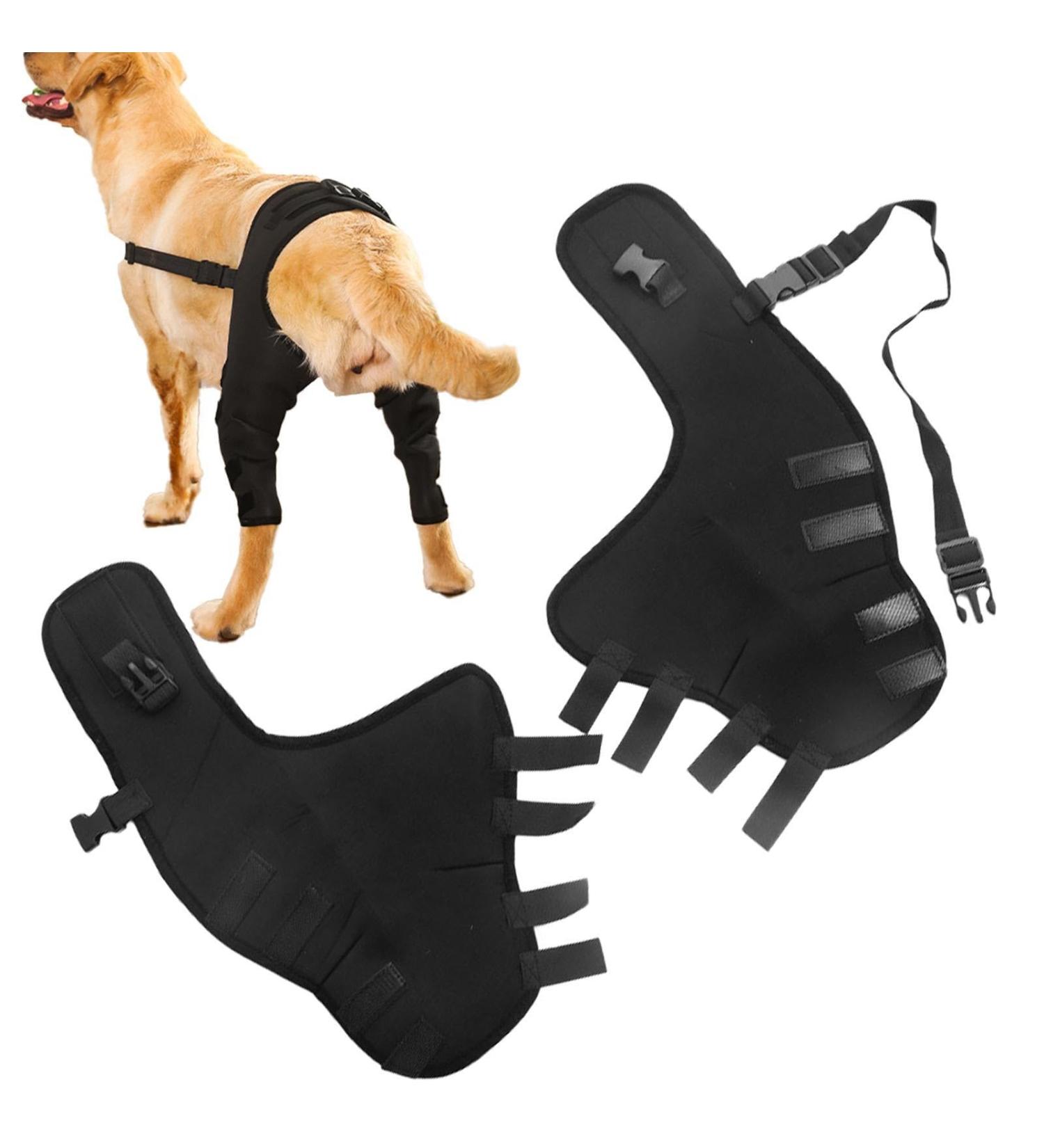 knee brace back leg brace dog leg support pet leg support back leg support dog hip brace hip joint brace brace X-Small - Buy Online on GoSupps.com