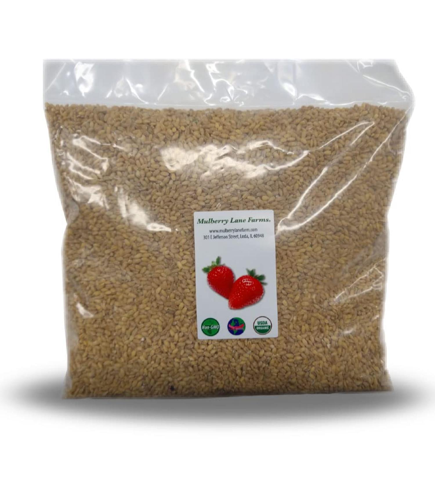 USDA Certified Organic Pearl Barley - 5 lbs | Non-GMO Bulk | Product of USA - Buy Online on GoSupps.com