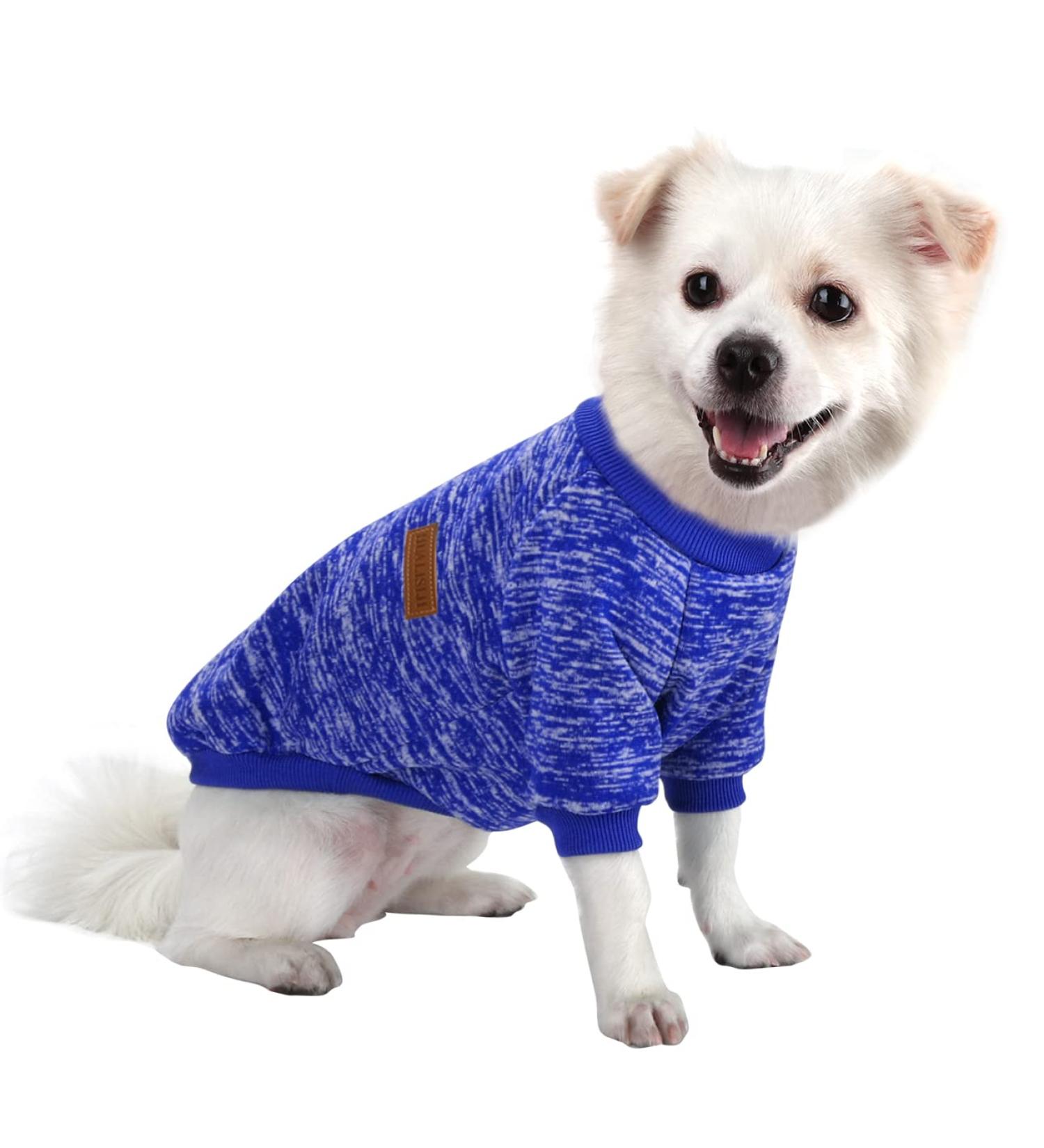 Shop Hualisiji Dog Sweater - Warm Hooded Sweatshirt for Small Dogs | Soft & Stretchy Chihuahua Hoodie - Dark Blue XS - Buy Online on GoSupps.com