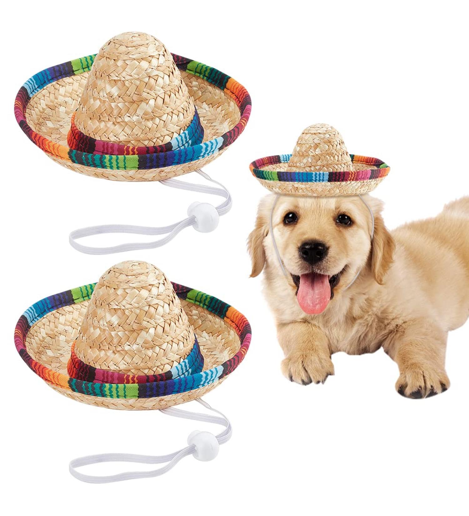 Webeedy 2-Piece Pet Mexican Straw Hat - Dog Sombrero for Parties Photo Shoots & Halloween Decorations - Buy Online on GoSupps.com