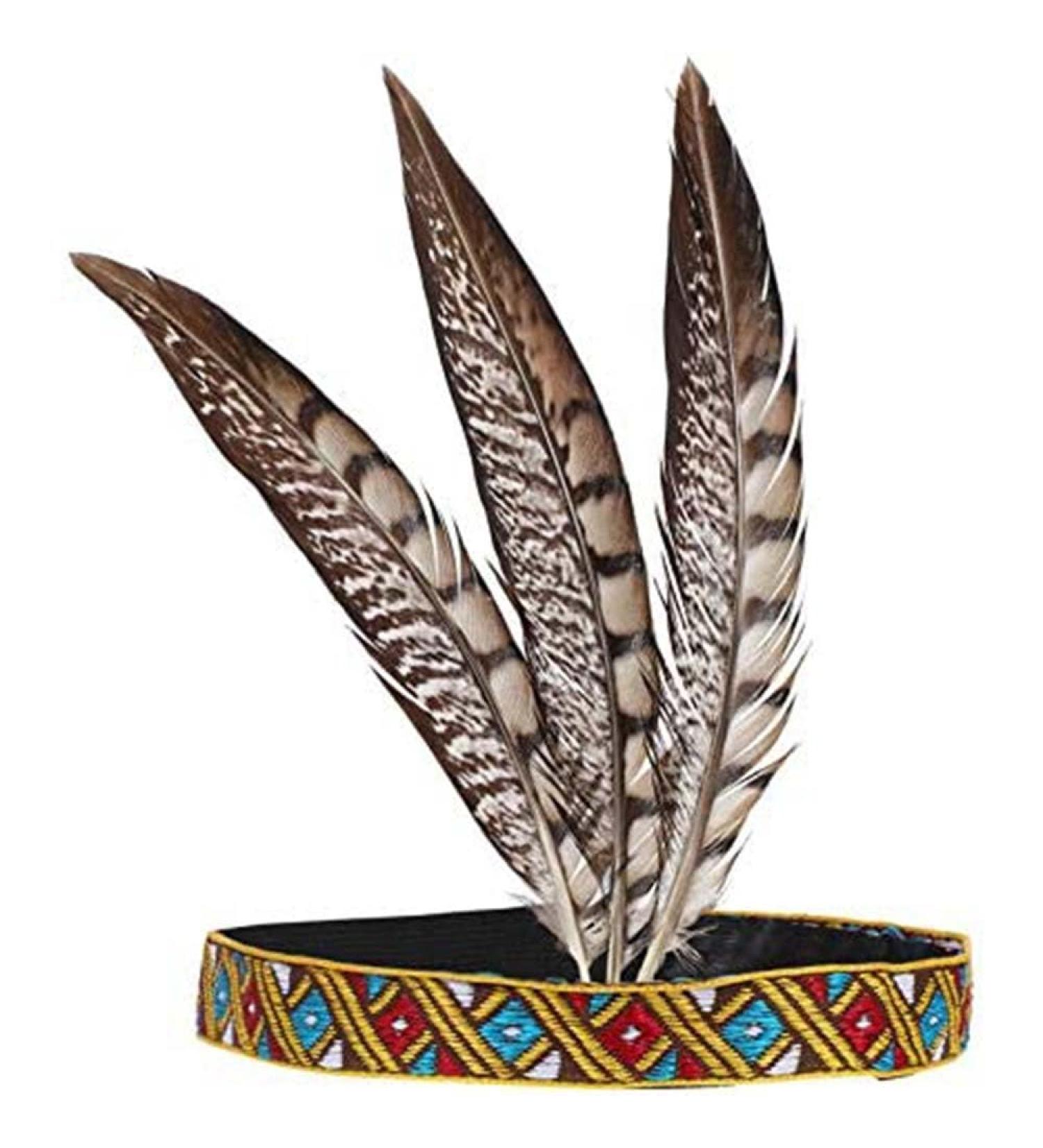 Indian Headband Headdress Feather Headband Native American Feather Headband Hair Band Headwear Headpiece Fashion Elegant Flapper Headband- Hair Decoration for Women Girls - Buy Online on GoSupps.com