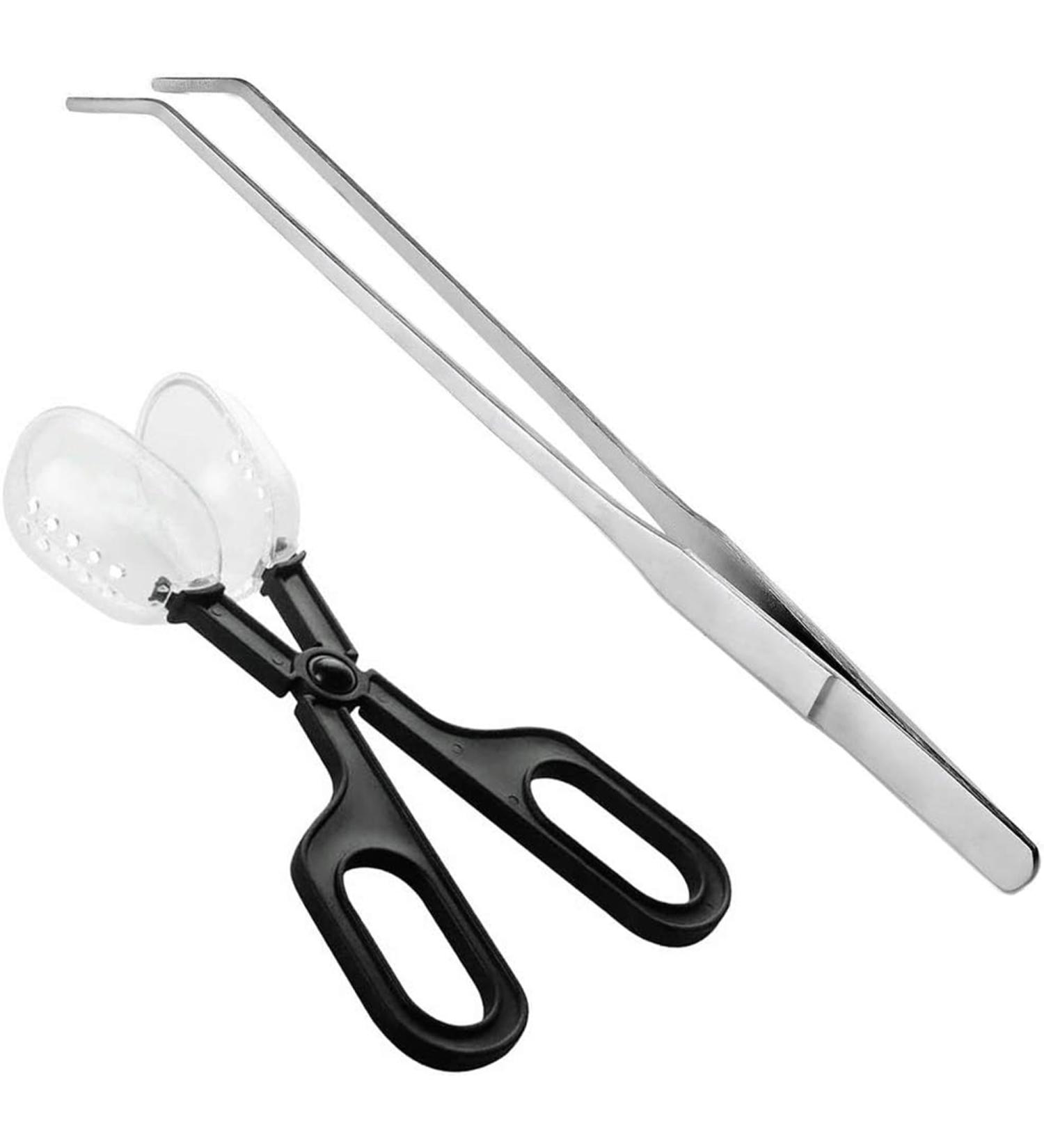 ABMRO Reptile Feeding Tool Cleaning Clamp and Long Feeding Tweezers for Hamsters Insects Turtle Snake Spider Frog Gecko Chameleon and Other Small Animals - Buy Online on GoSupps.com
