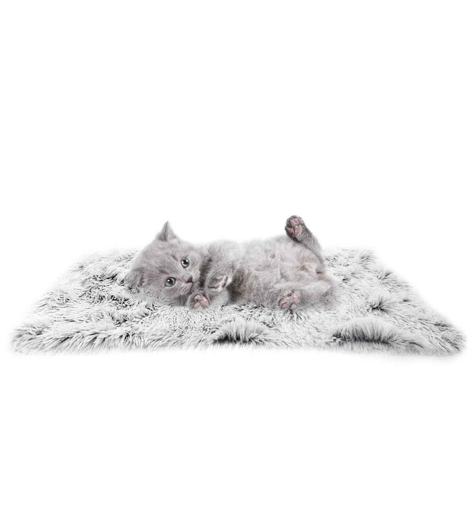 Soft & Warm Fluffy Fleece Pet Throw Blanket - 16x24, Light Grey - Buy Online on GoSupps.com