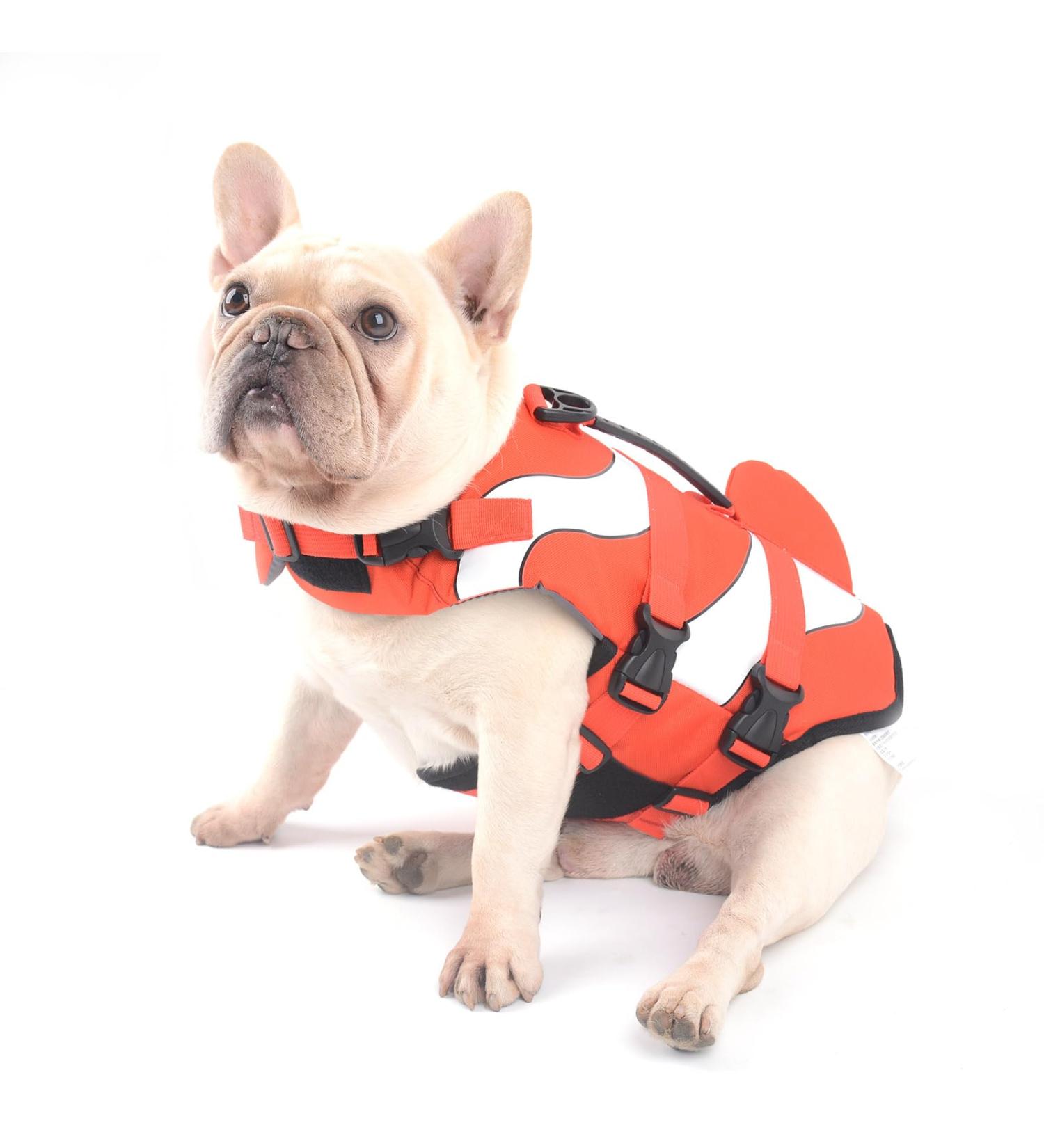 Hofrenchies Dog Chest Hair Hoi Schwimmewest - Pet Safety Bathing Suit Lifeguard Vest for French Bulldog (Size M Clownfish) - Shop Now! - Buy Online on GoSupps.com