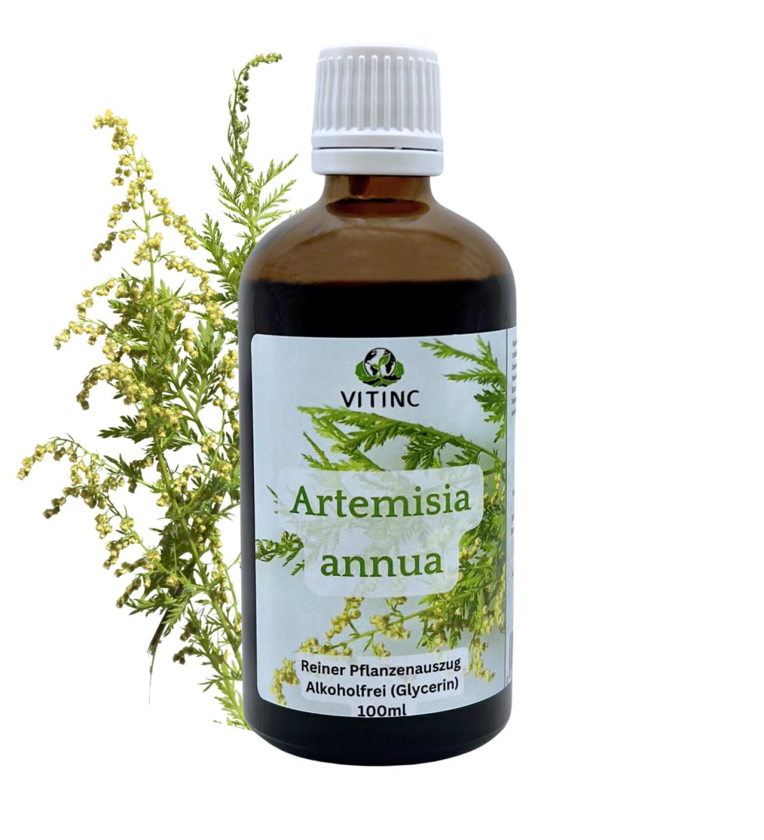 Artemisia Annua - Alcohol-Free Annual Mugwort Extract | 100ml | Pure Plant Extract | VITINC | International Shipping Available - Buy Online on GoSupps.com