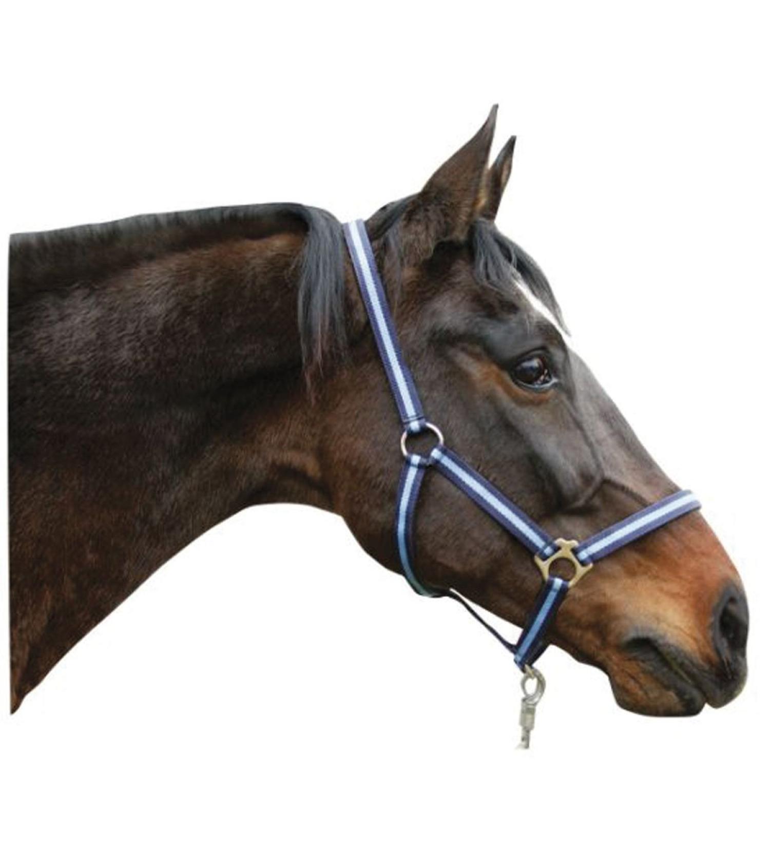 Buy Kerbl Nylon Halter Hippo - Adjustable Nylon Halters for Pony Shetty Full and XFull in 6 Colors - Durable Large Navy/Light Blue Options - Buy Online on GoSupps.com